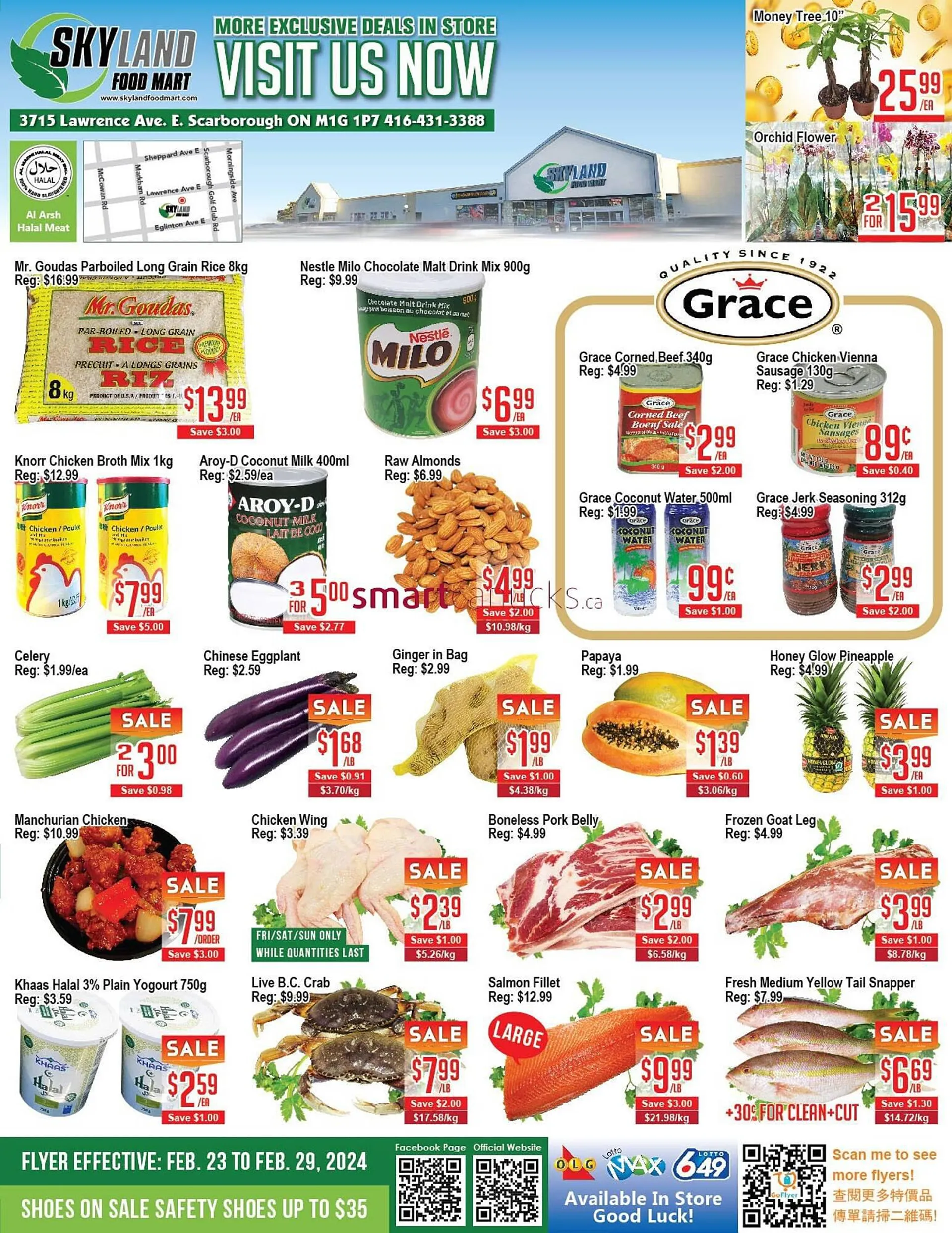 Skyland Foodmart flyer from February 22 to February 28 2024 - flyer page 