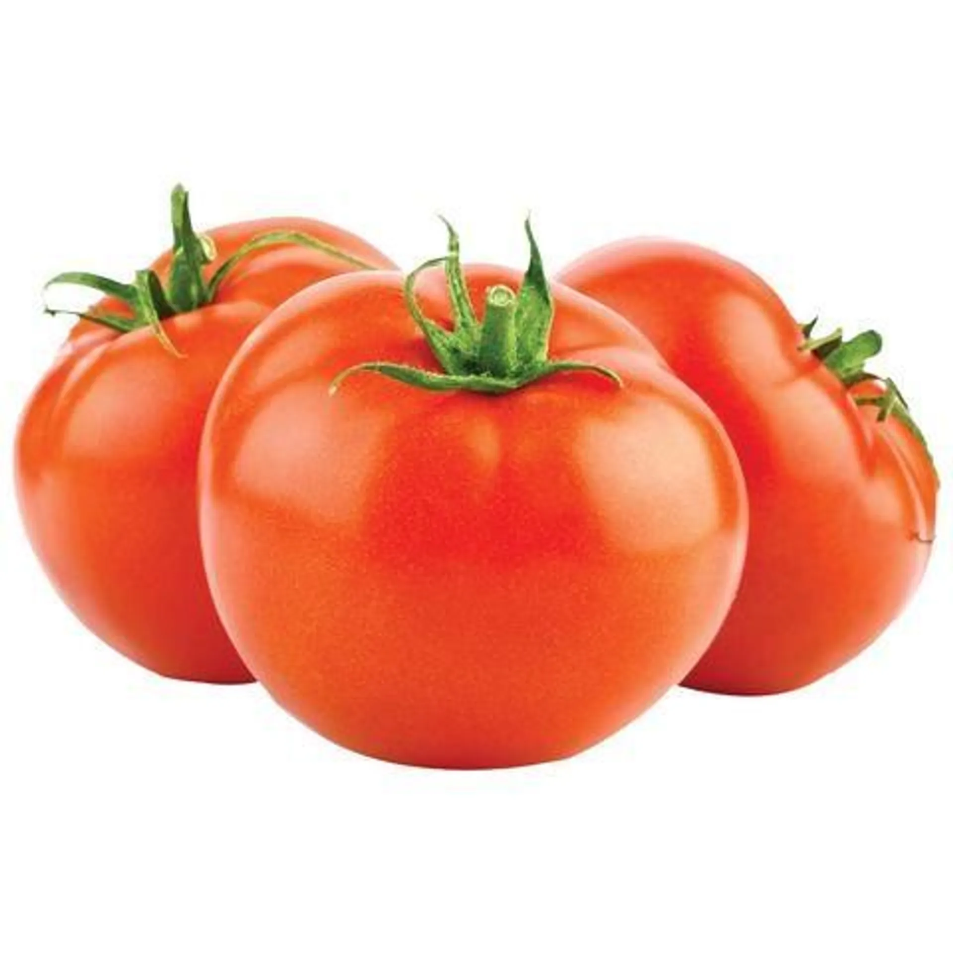 Hot House Tomatoes