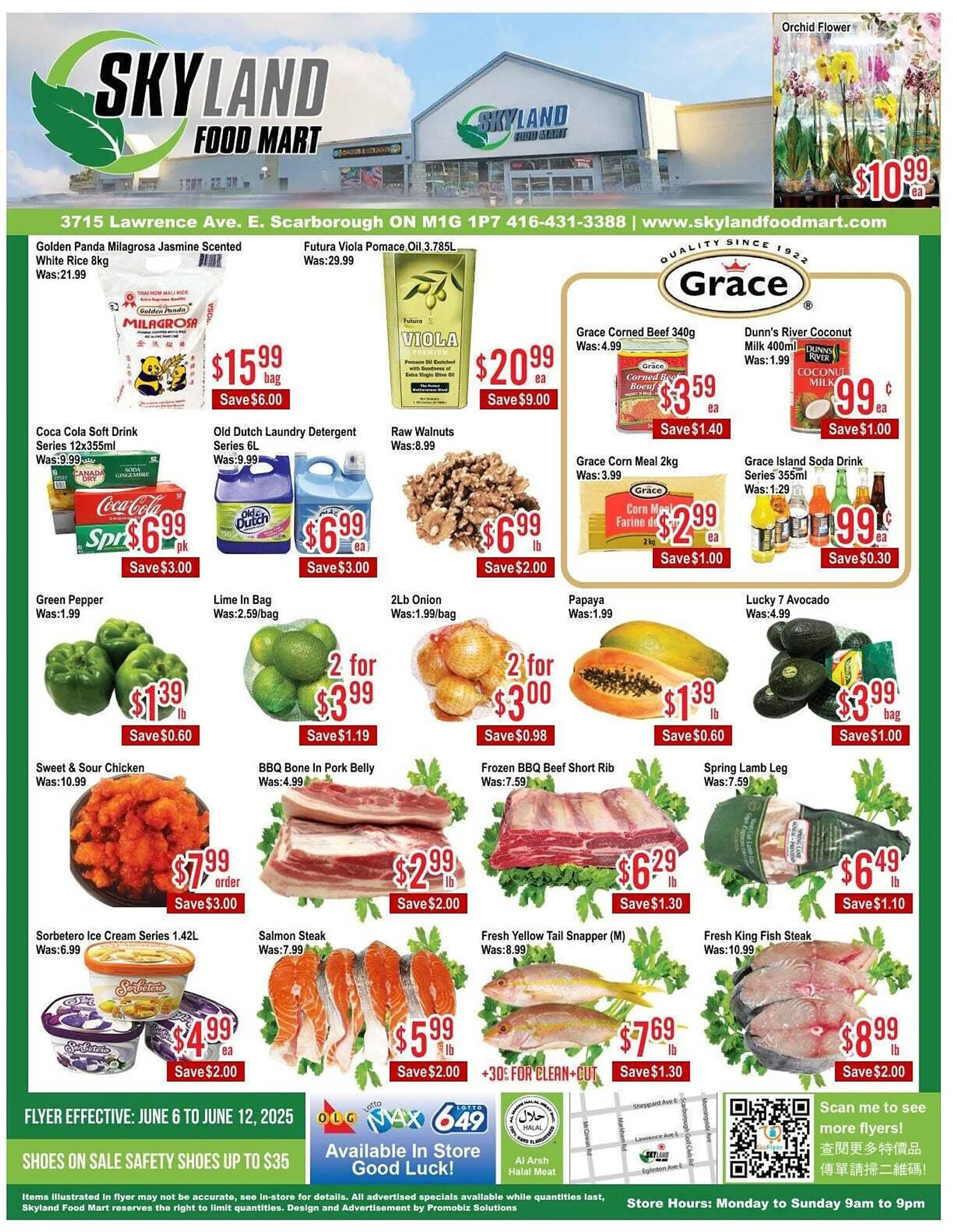 Skyland Foodmart flyer from June 6 to June 13 2025 - flyer page 1