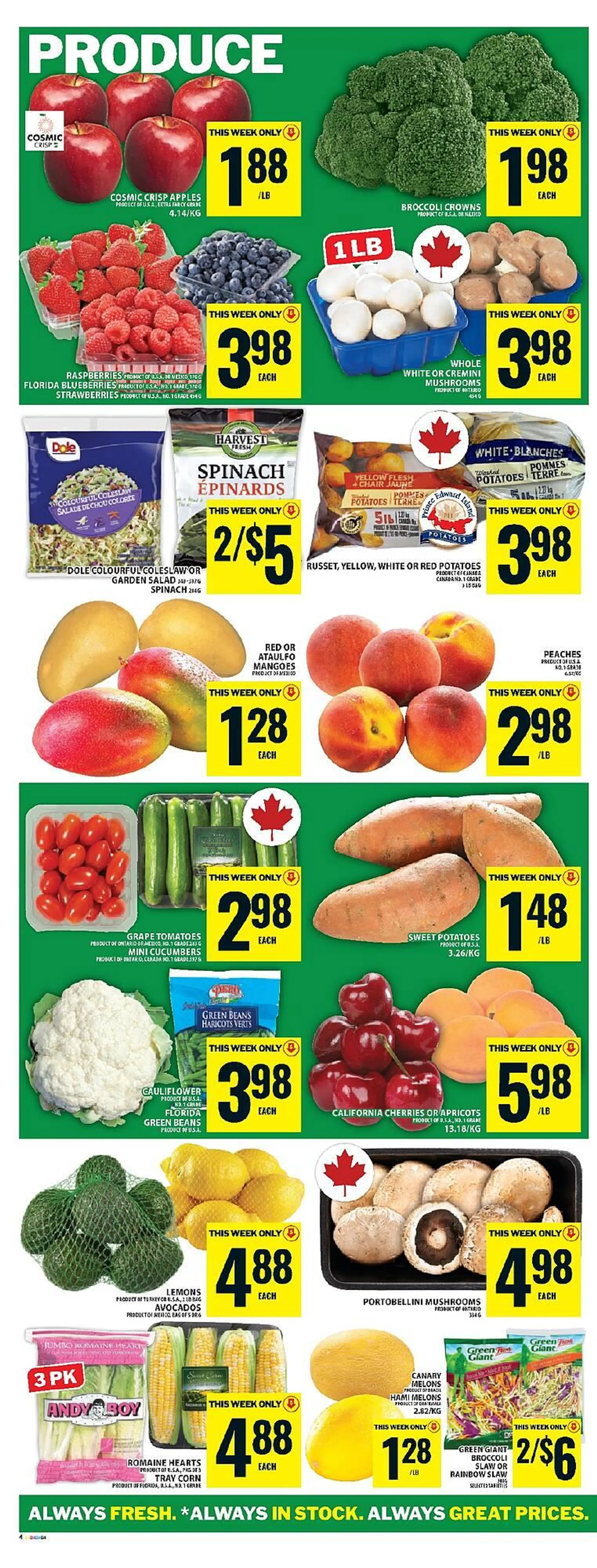 Food Basics flyer from May 22 to May 28 2025 - flyer page 13