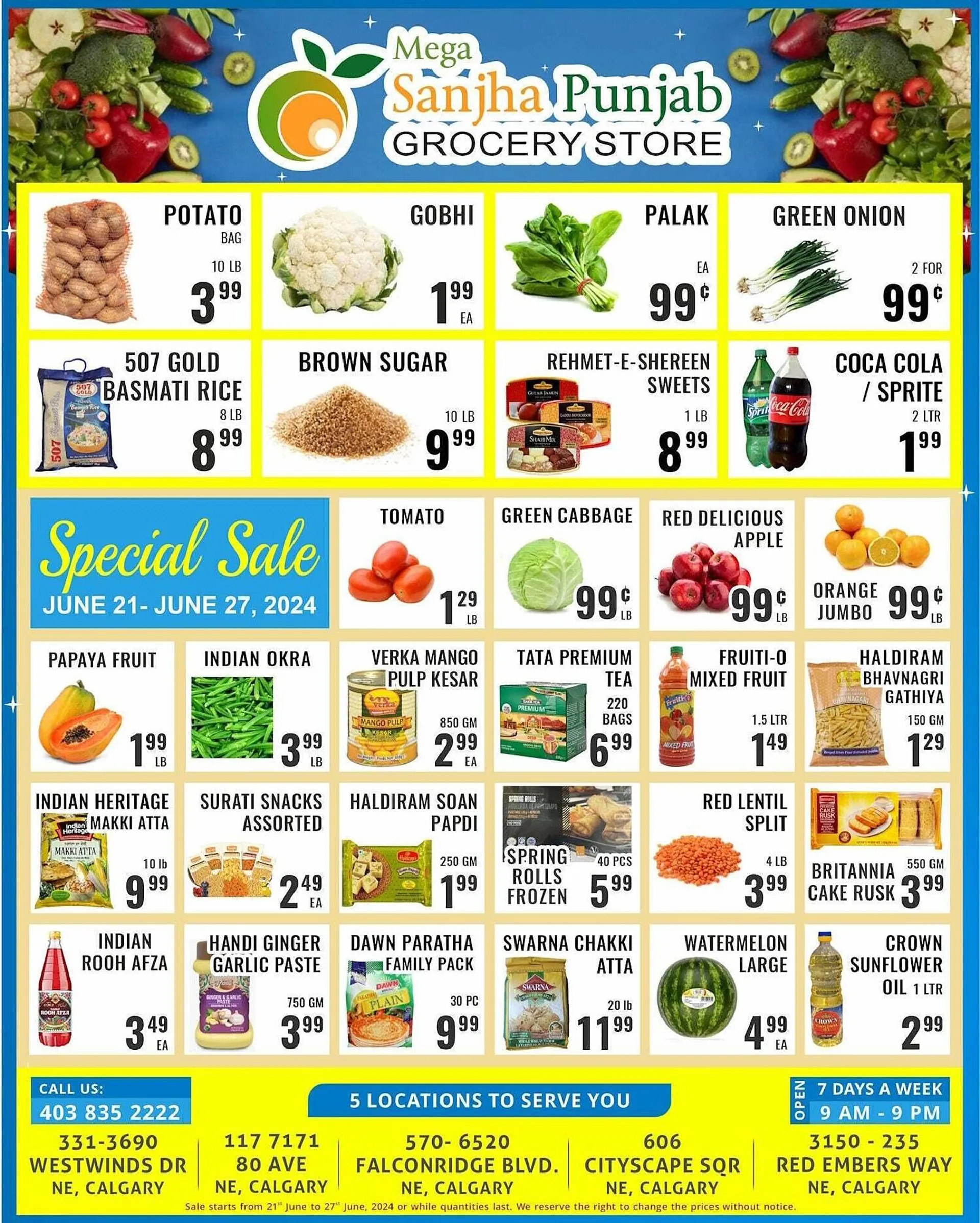 Mega Sanjha Punjab Grocery Store flyer - 1