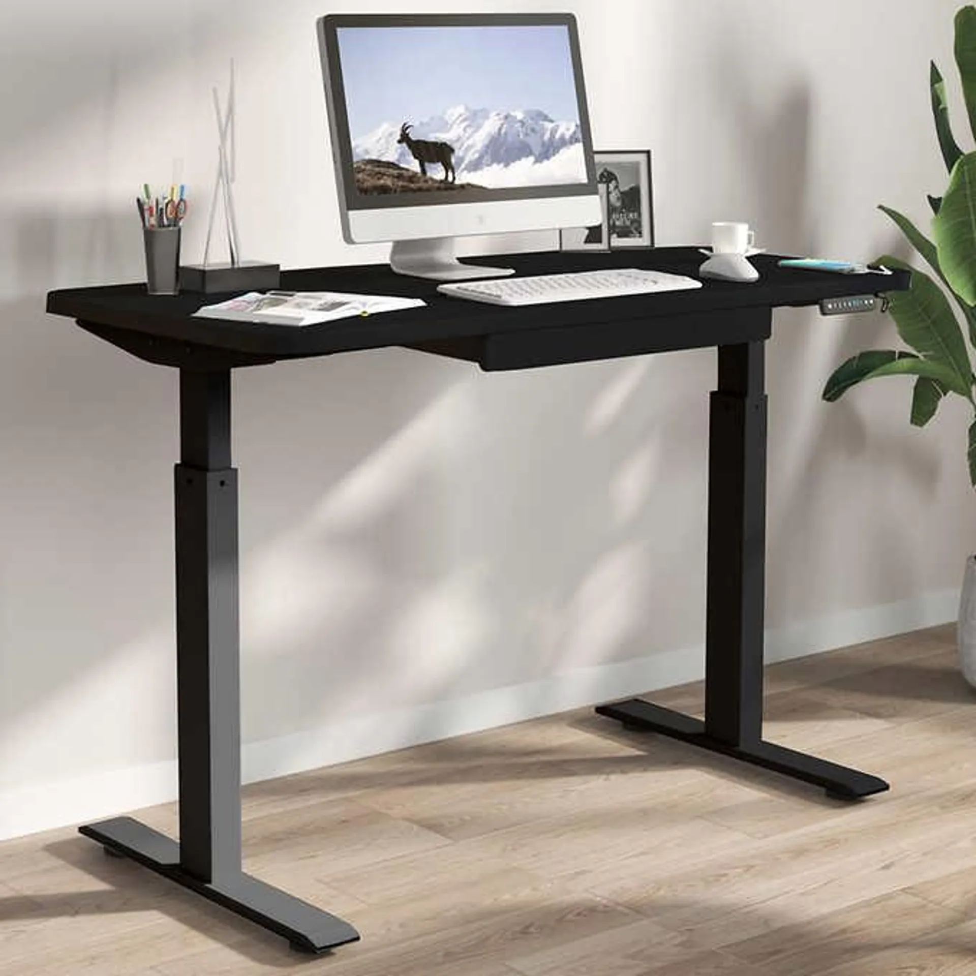 Motionwise 121.9 cm × 61 cm (48 in. × 24 in.) Height Adjustable Standing Desk