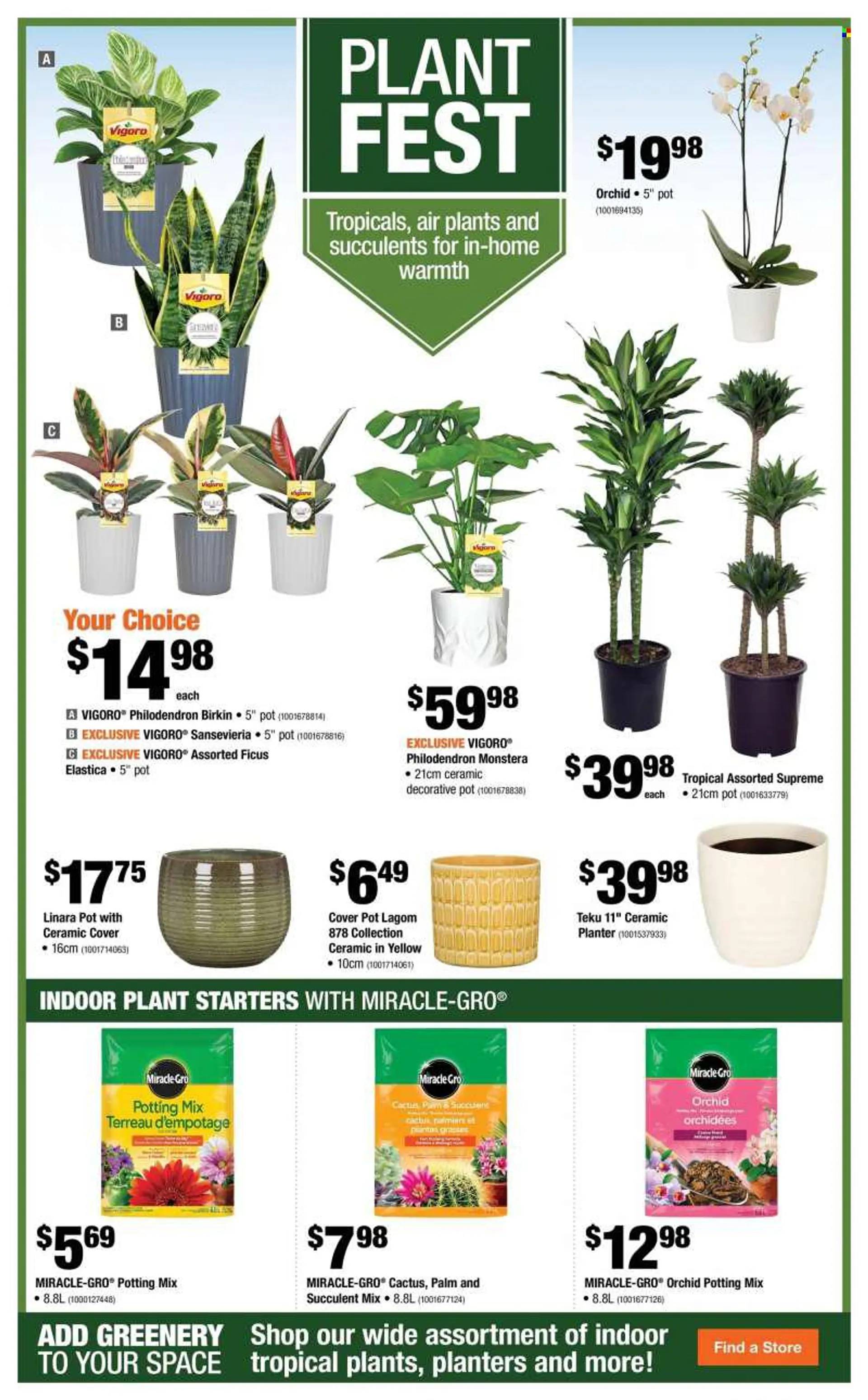 The Home Depot Flyer - August 11, 2022 - August 17, 2022 - Sales products - pot, cactus, plant, succulent, potting mix. Page 15.