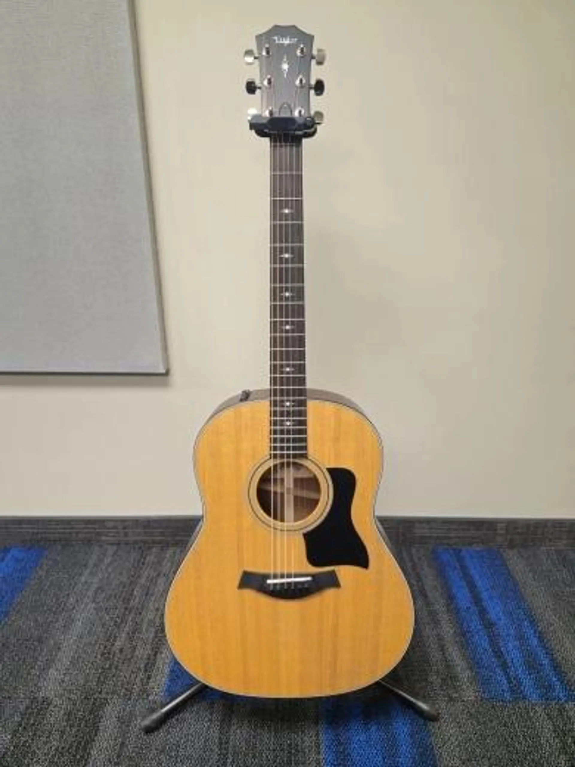 Taylor Guitars - 317E