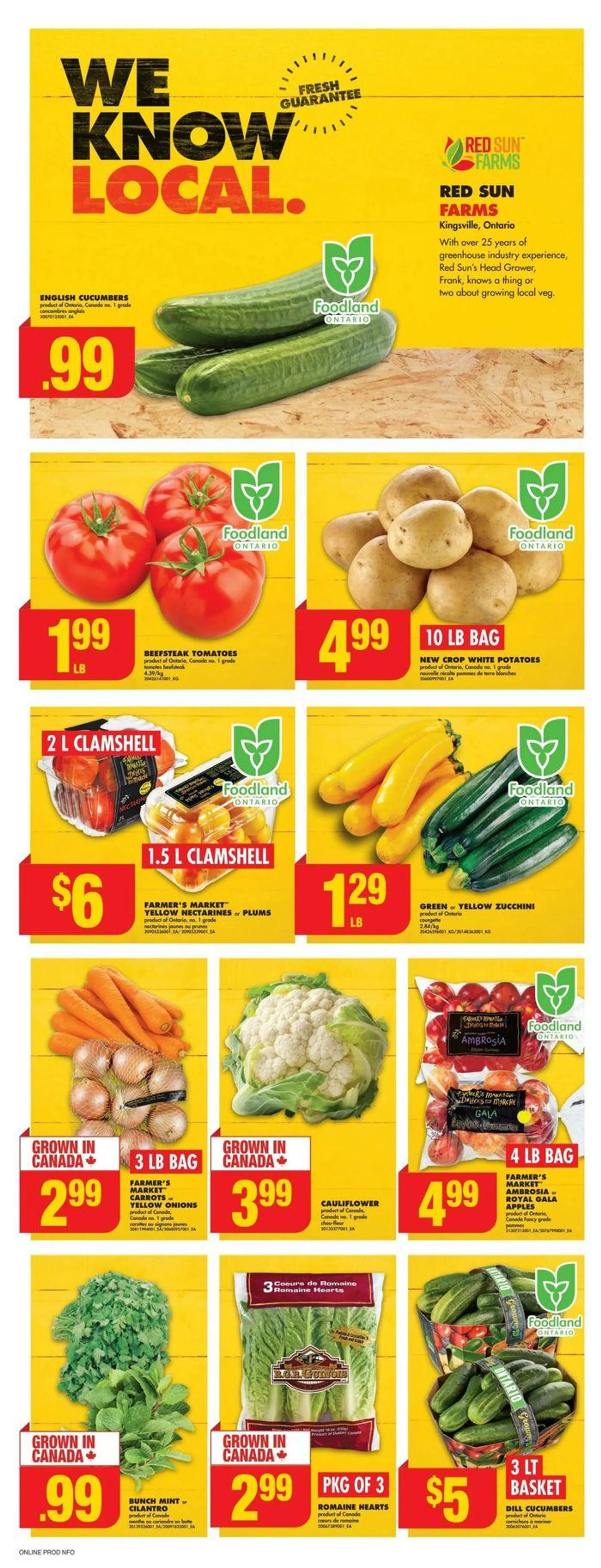 No Frills Weekly ad from July 25 to July 31 2024 - flyer page 9