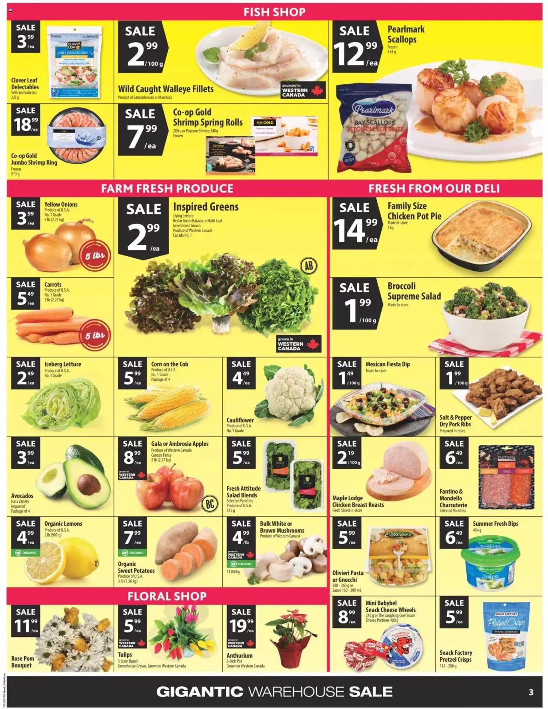 Co-op Food weekly flyer / circulaire from January 25 to January 31 2024 - flyer page 5