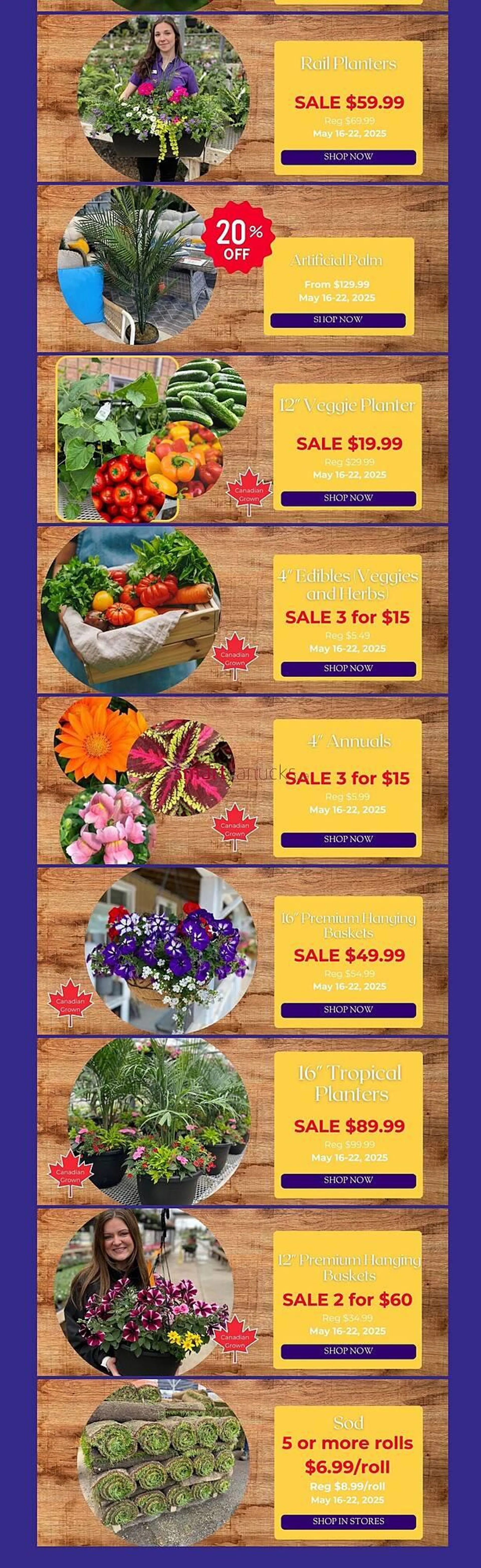 Terra Green Houses flyer from May 14 to May 20 2025 - flyer page 2