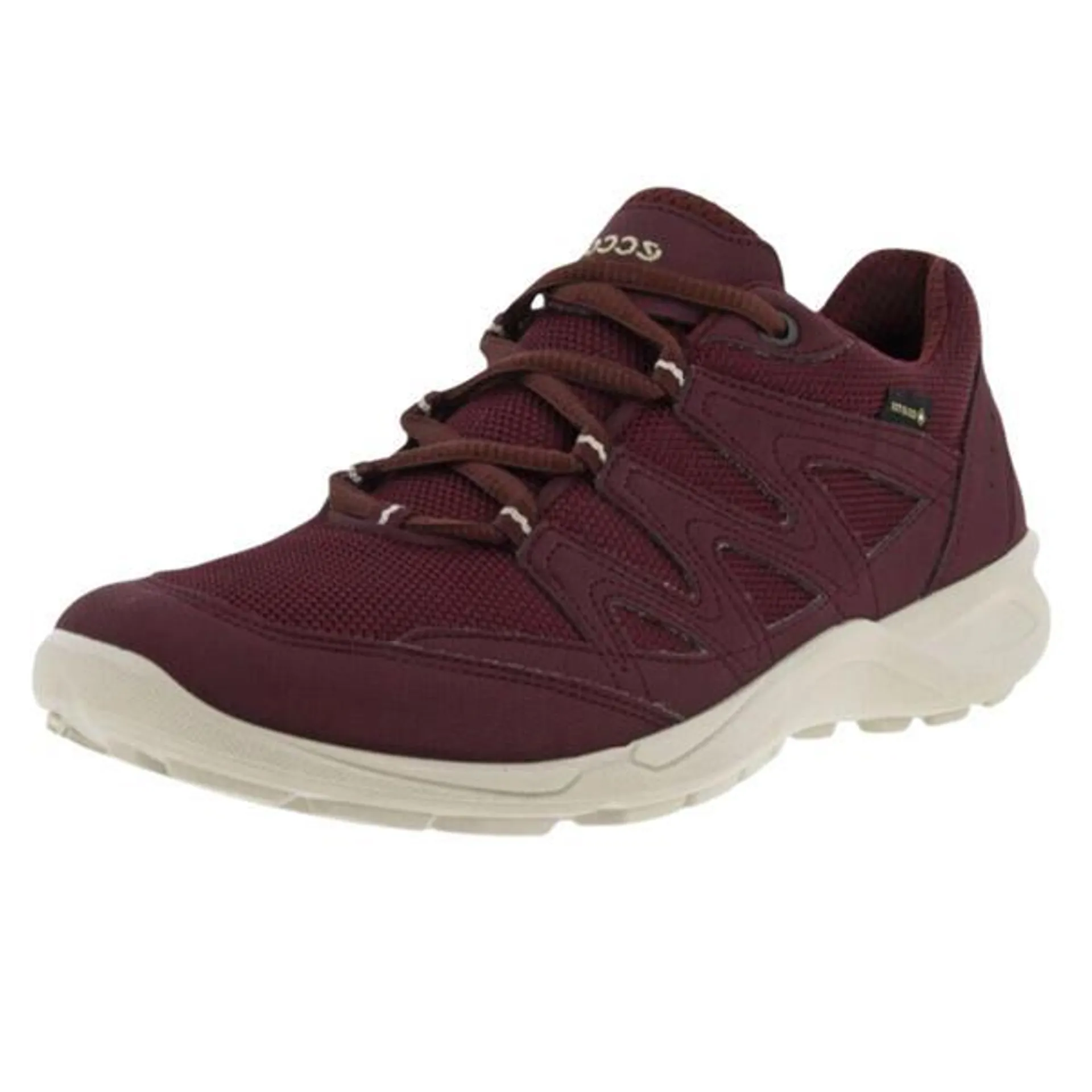 Women’s Ecco Terracruise Lt GTX Shoes