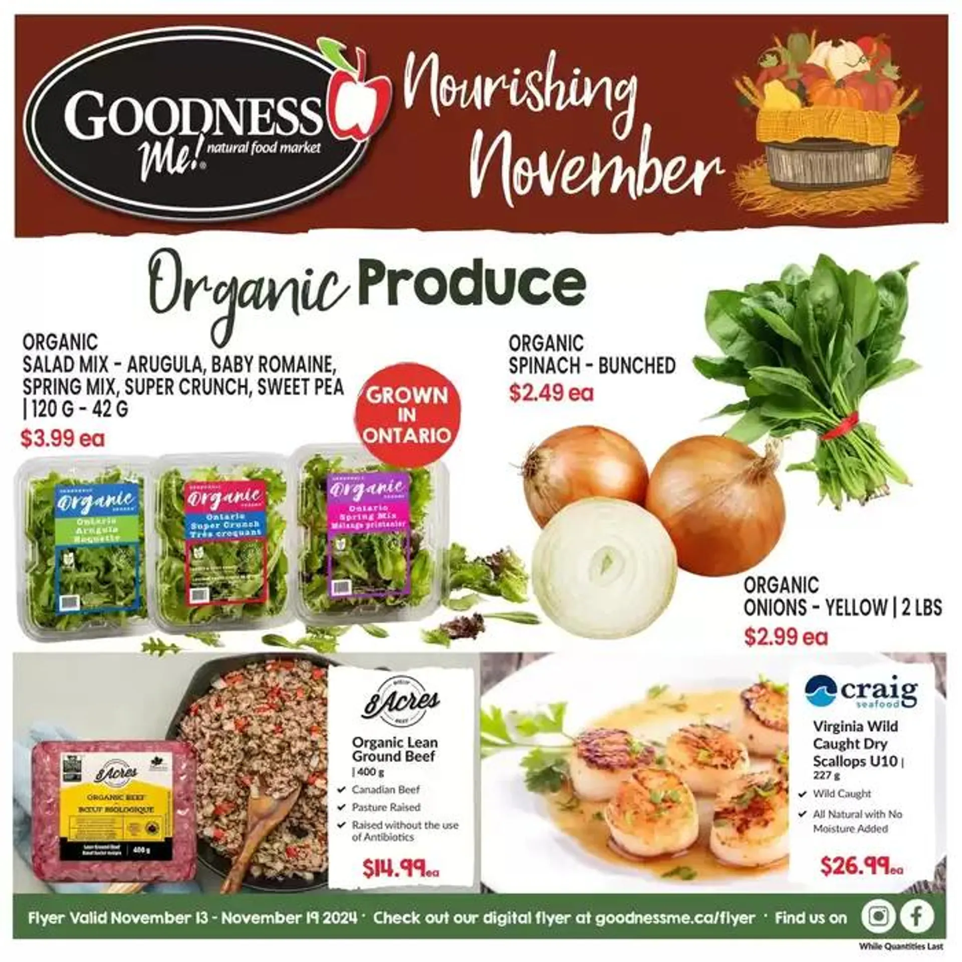 Nourishing November - 1