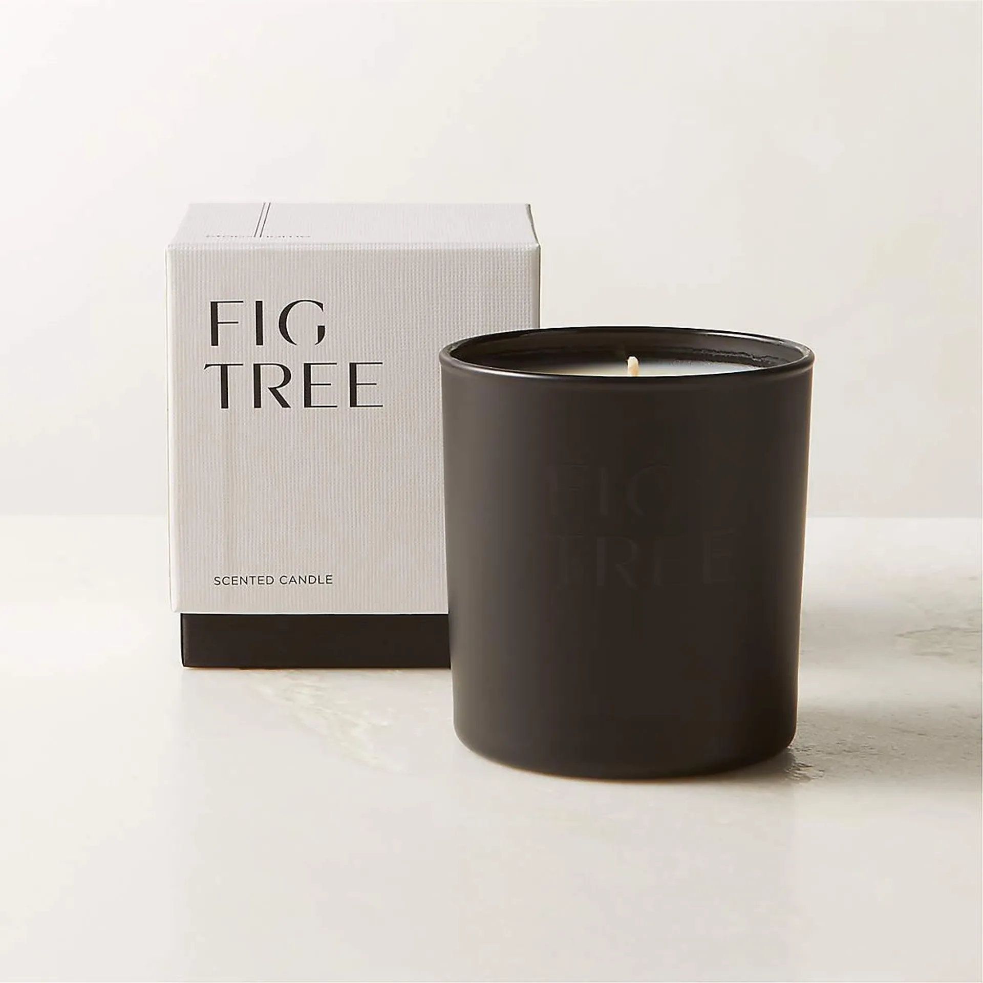 Stockhome Fig Tree Scented Candle 8oz