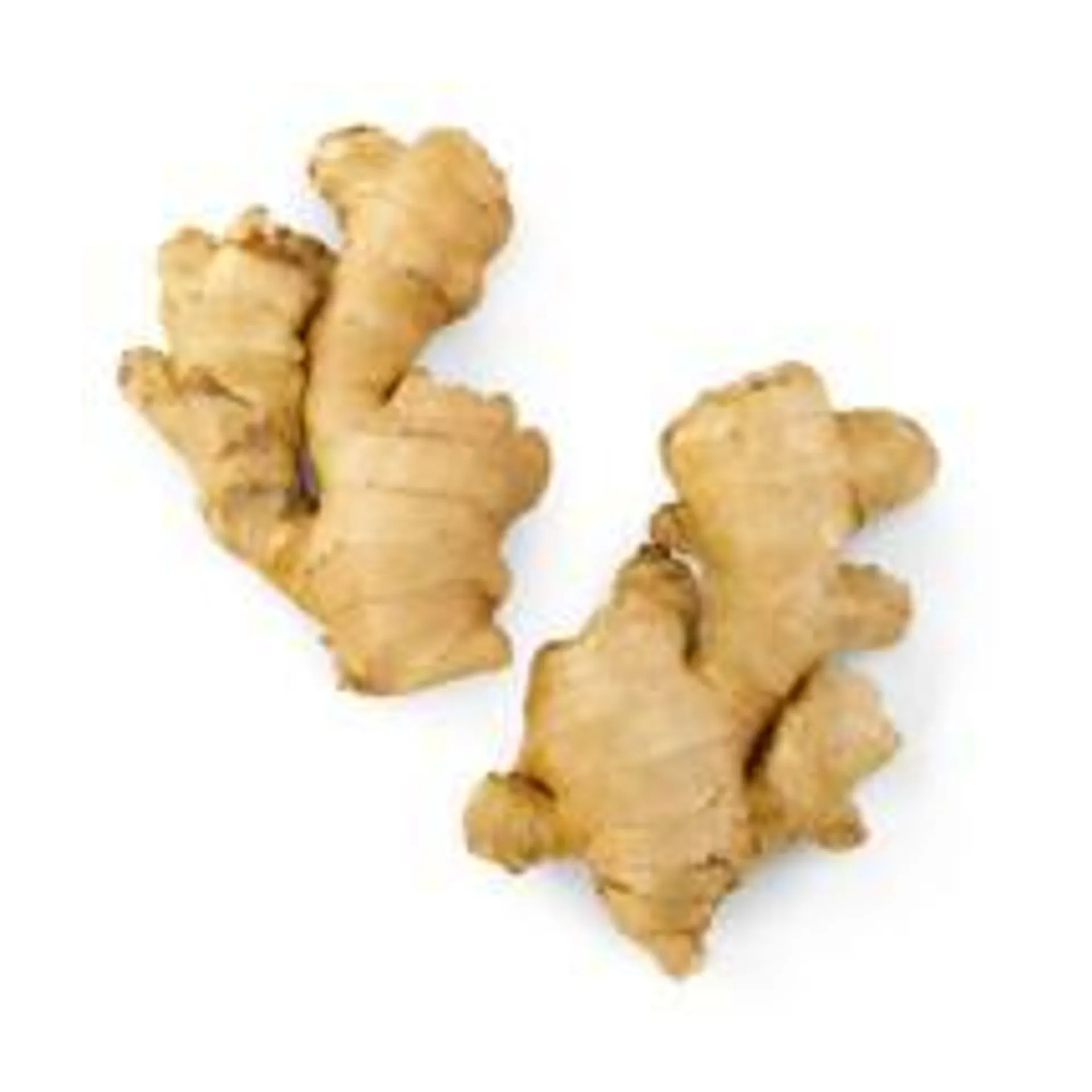 Ginger Root