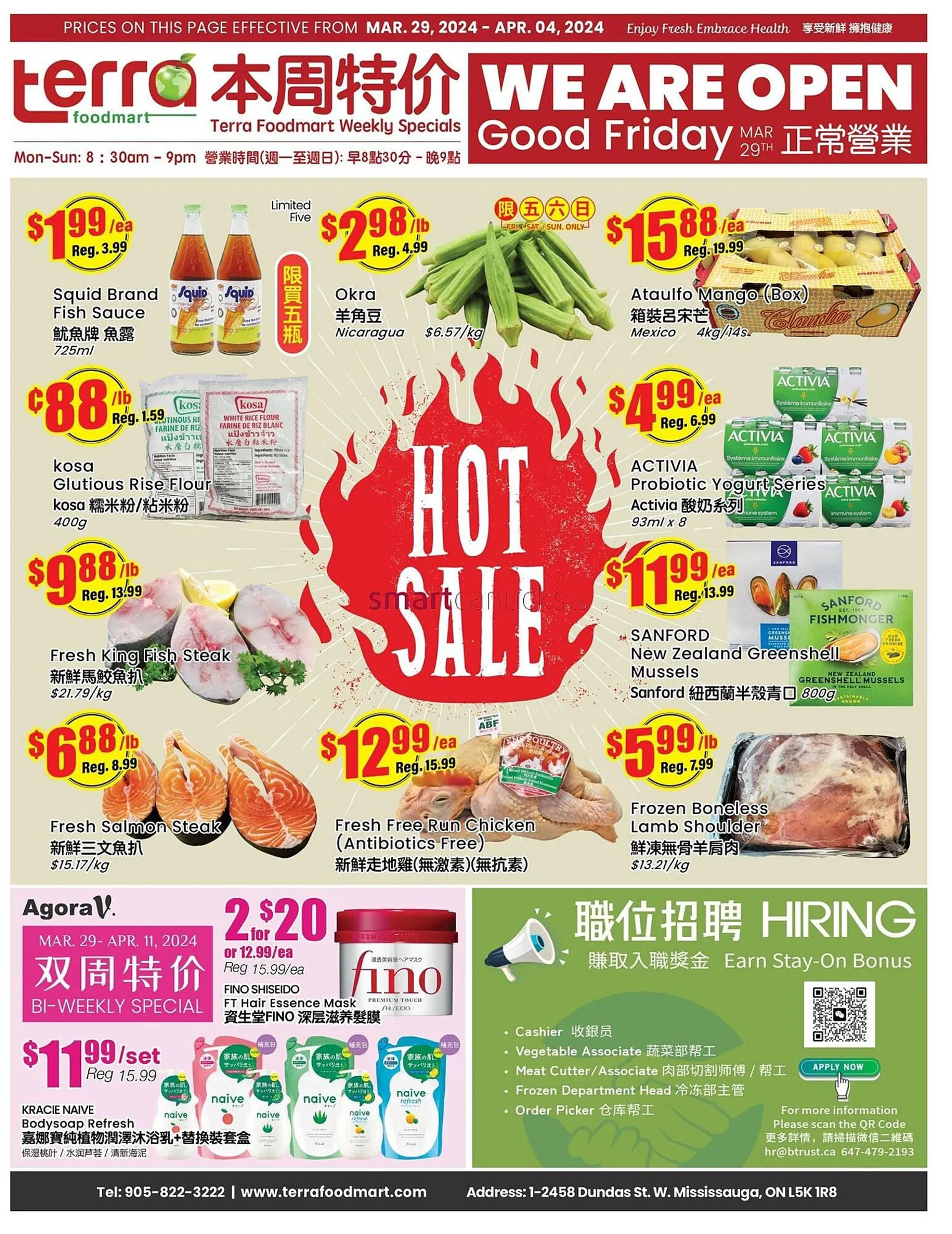 Terra Foodmart flyer from March 28 to April 3 2024 - flyer page 