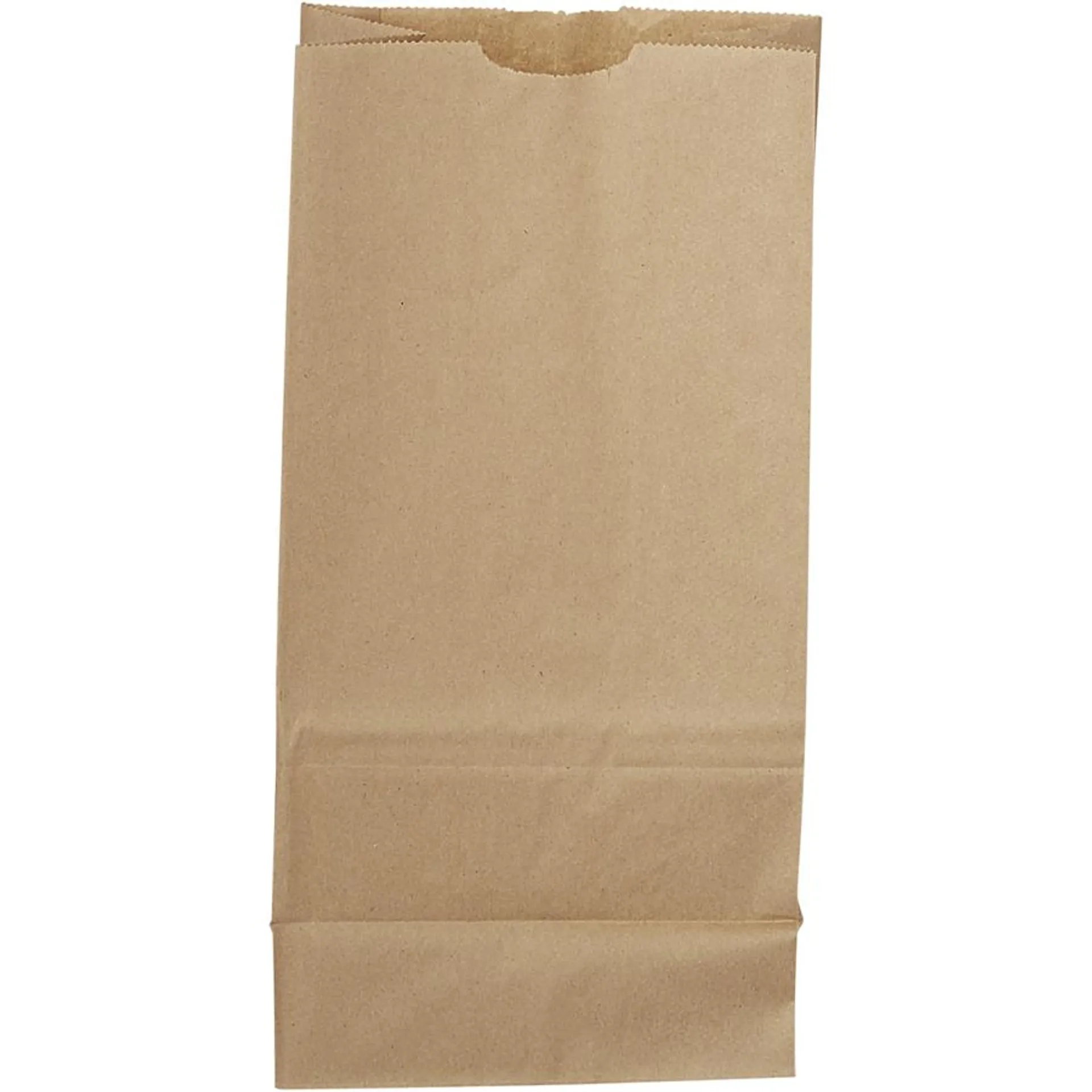 Kraft Paper Bags 12LB