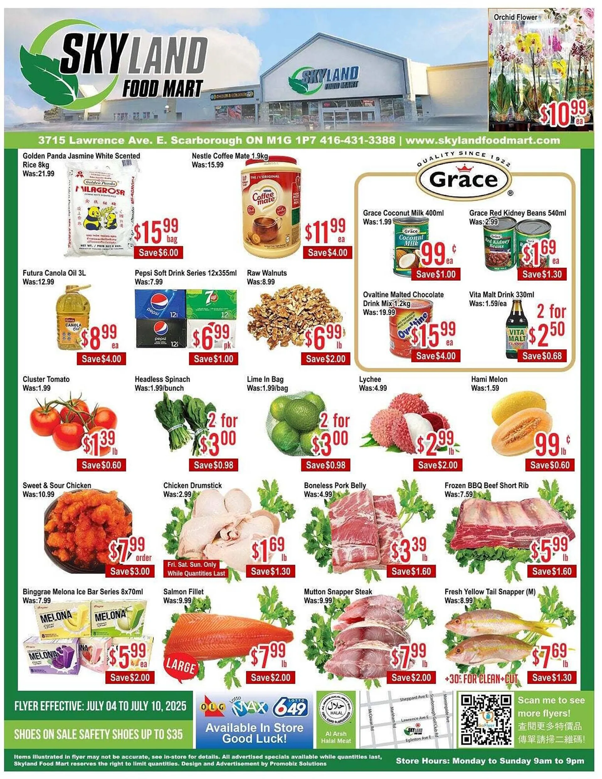 Skyland Foodmart flyer from July 4 to July 11 2025 - flyer page 1