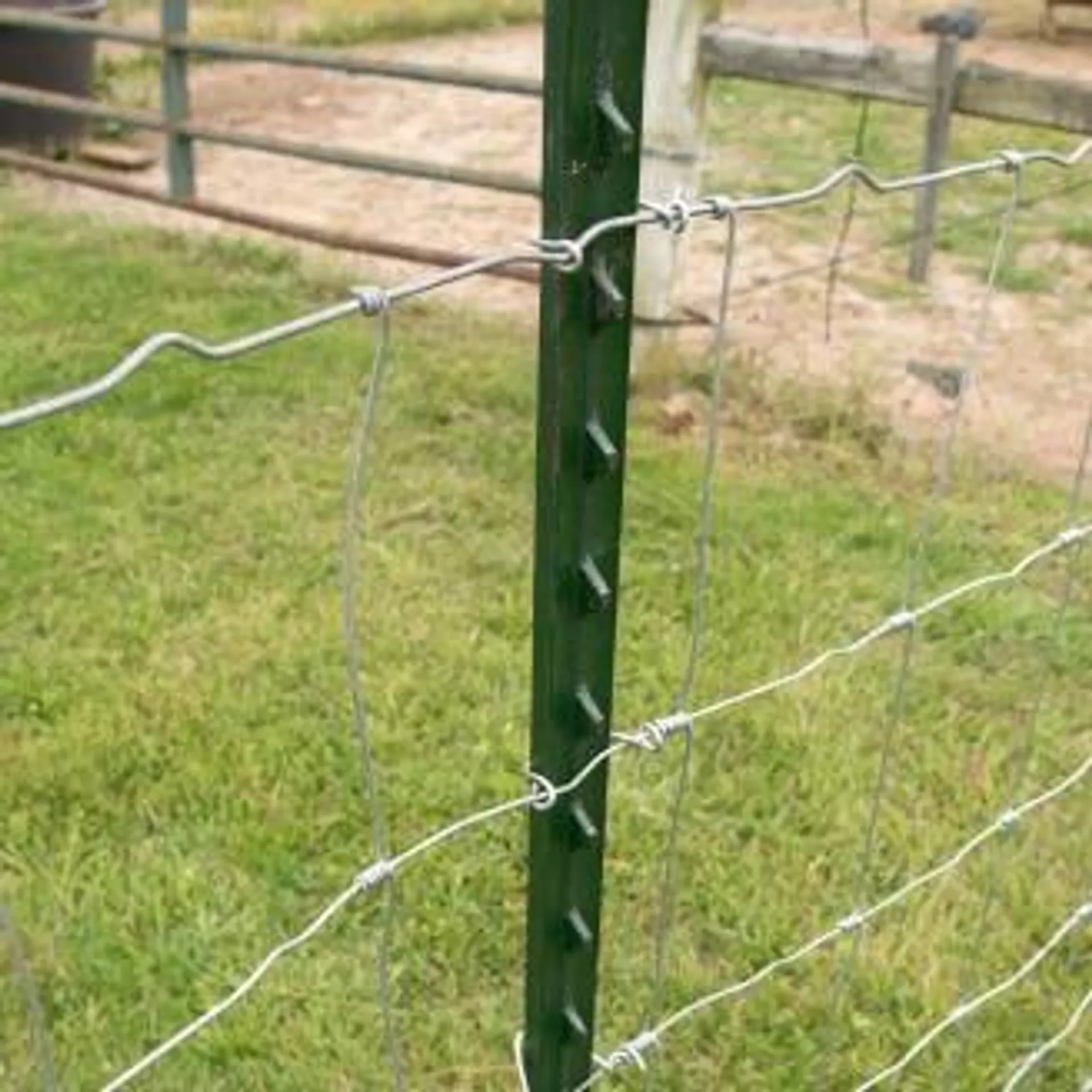 6 ft Green Studded T-Post