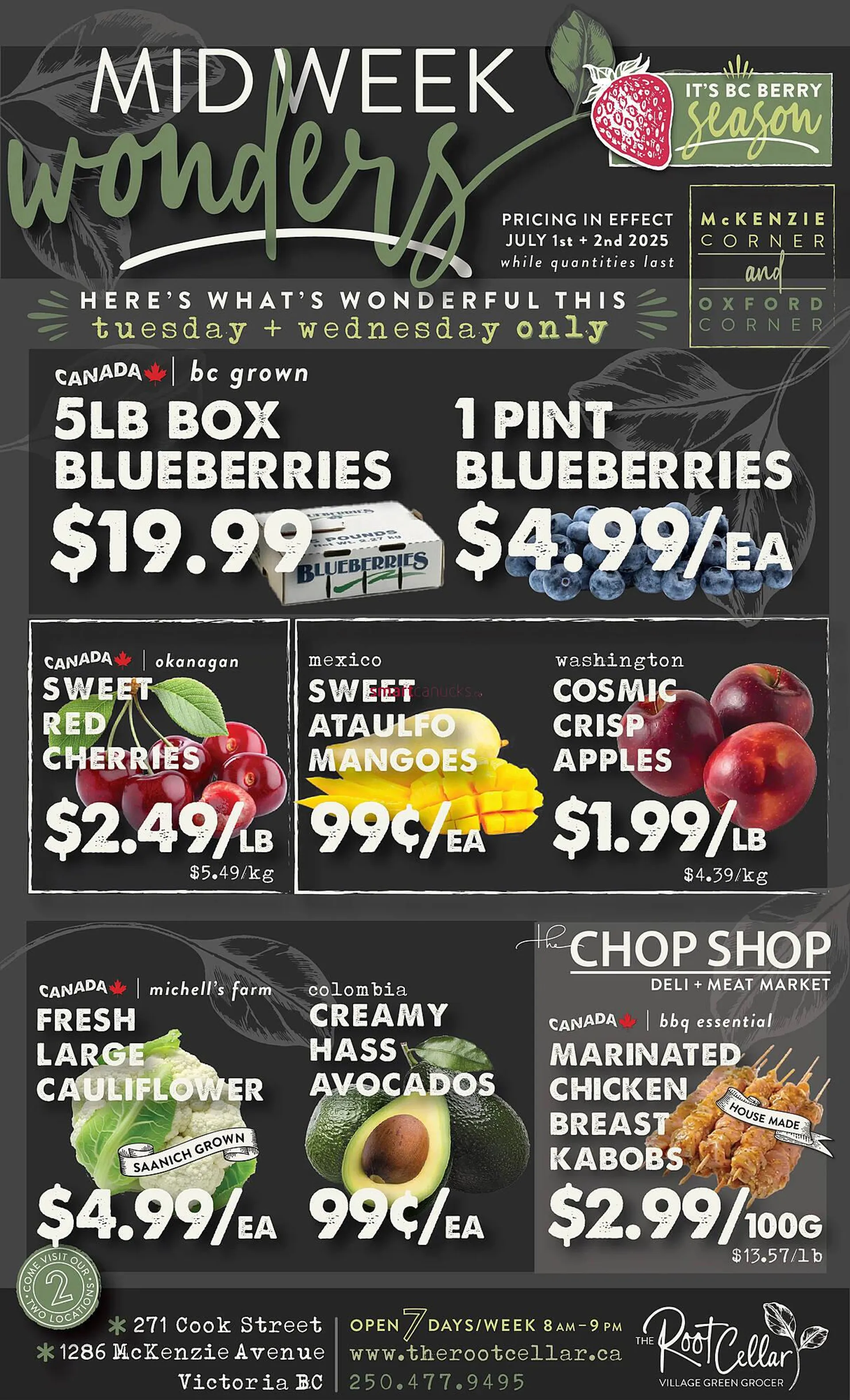 The Root Cellar flyer from July 1 to July 31 2025 - flyer page 1