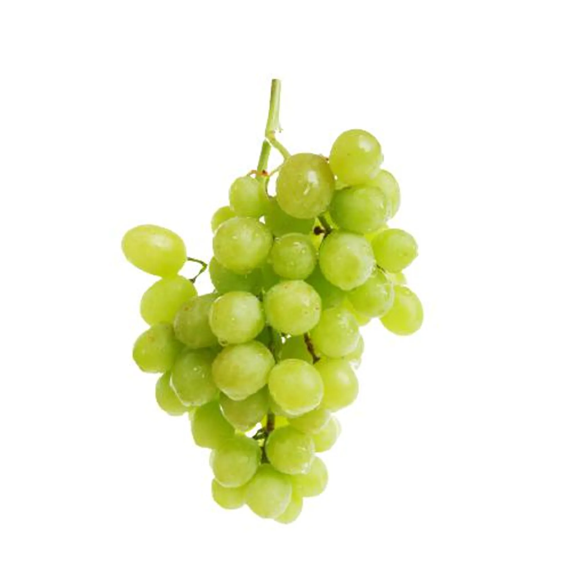 Green Seedless Grapes (Bag)