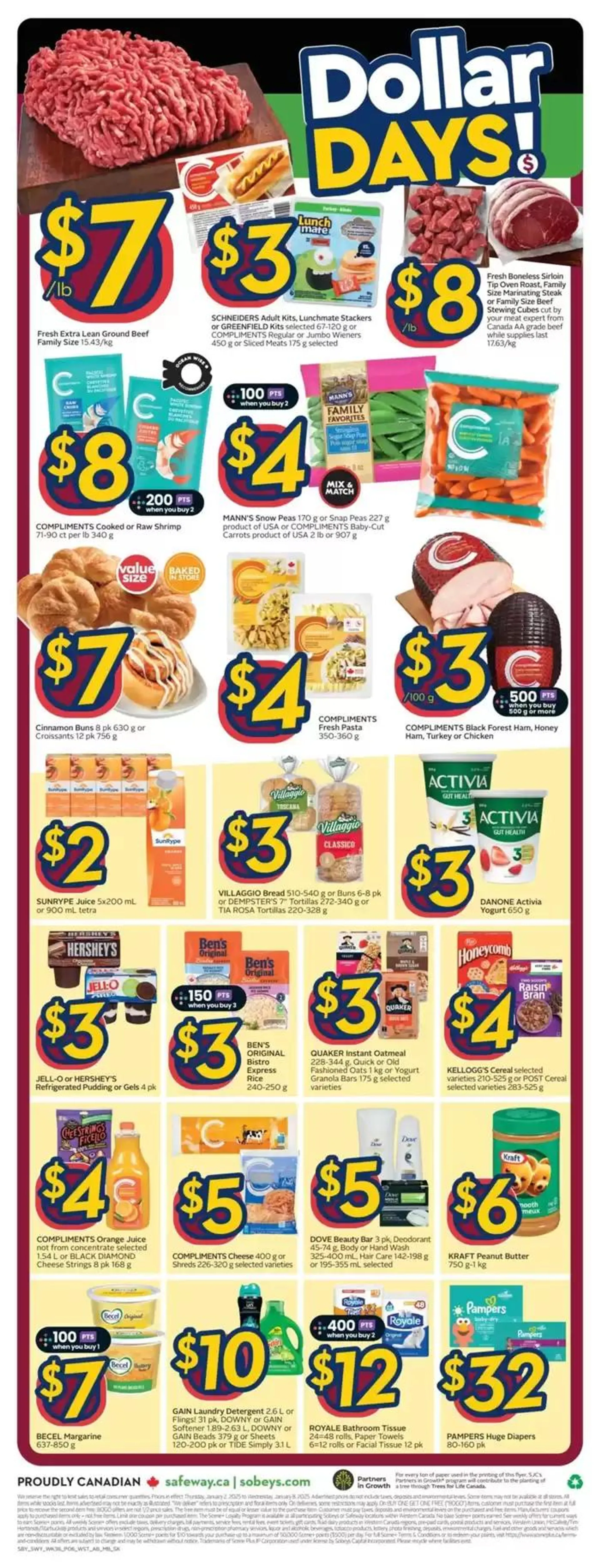 Wide range of offers from January 2 to January 8 2025 - flyer page 12