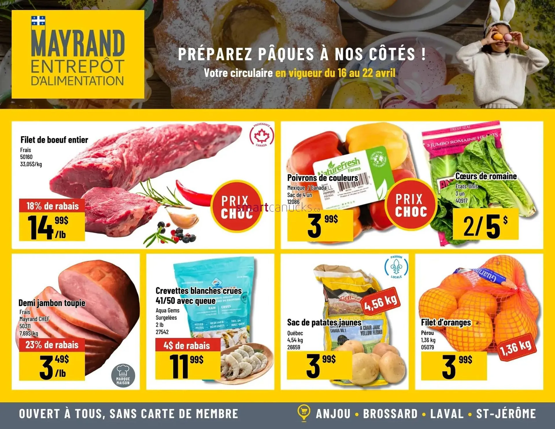 Mayrand flyer - 1