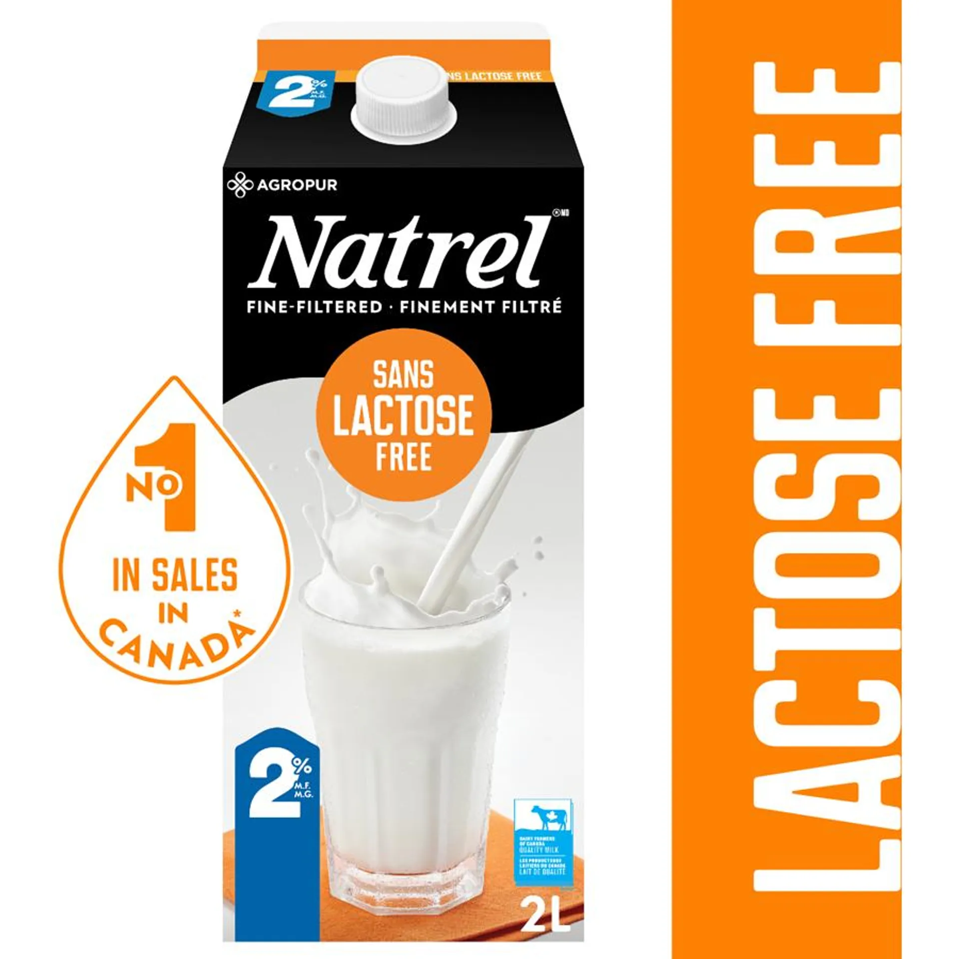 Produit laitier sans lactose 2 %