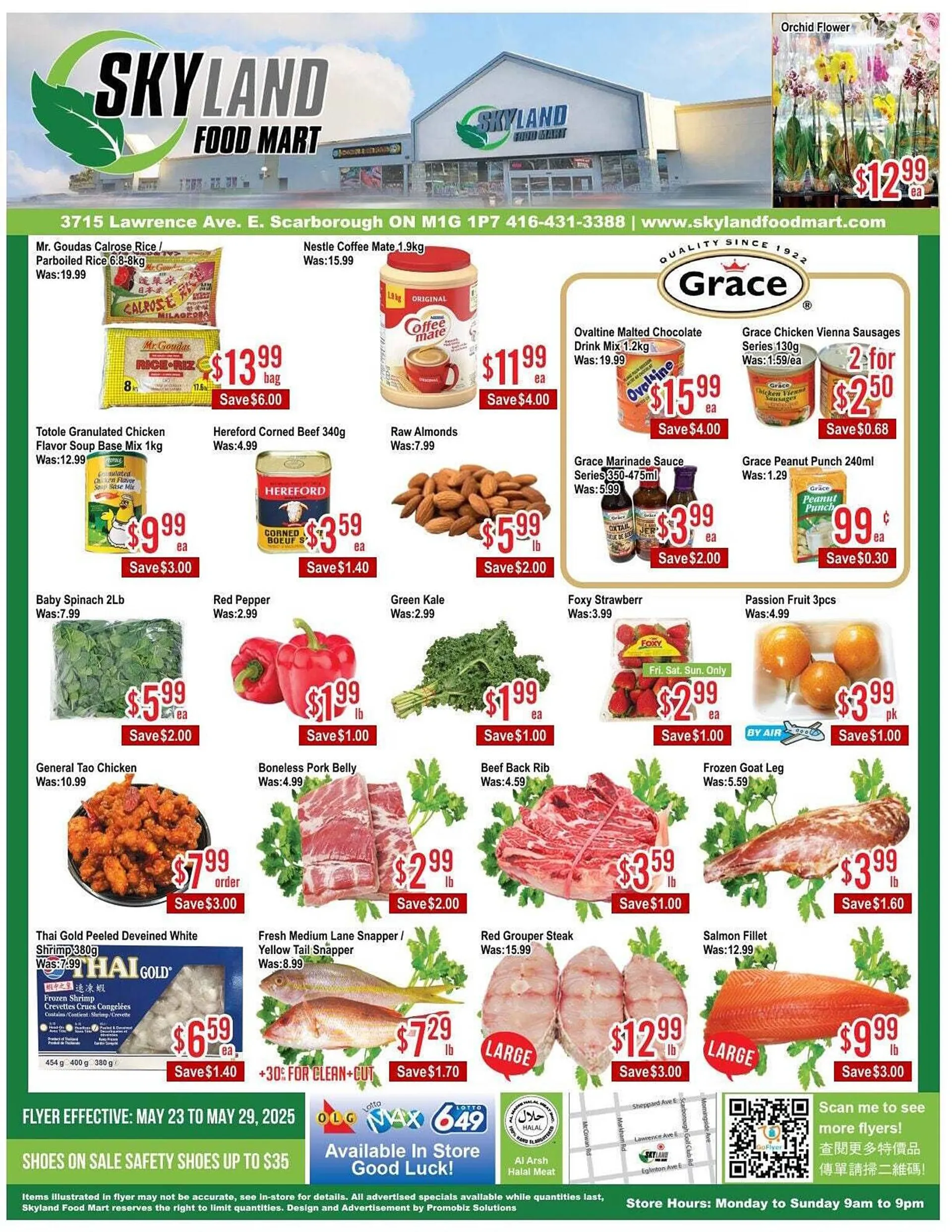 Skyland Foodmart flyer from May 23 to May 30 2025 - flyer page 1
