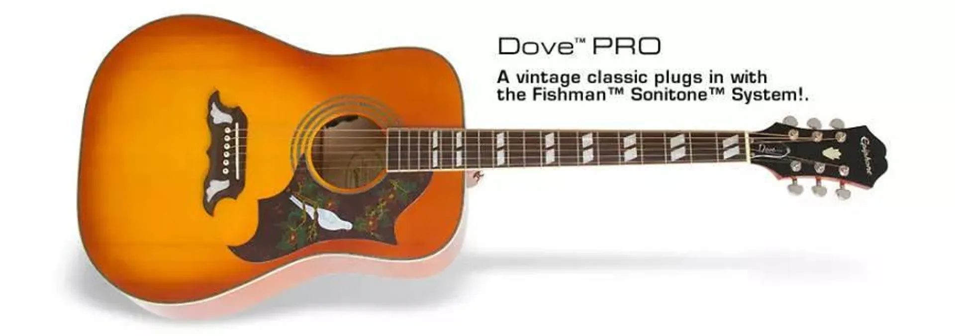 Dove Studio Acoustic Electric - Violin Burst