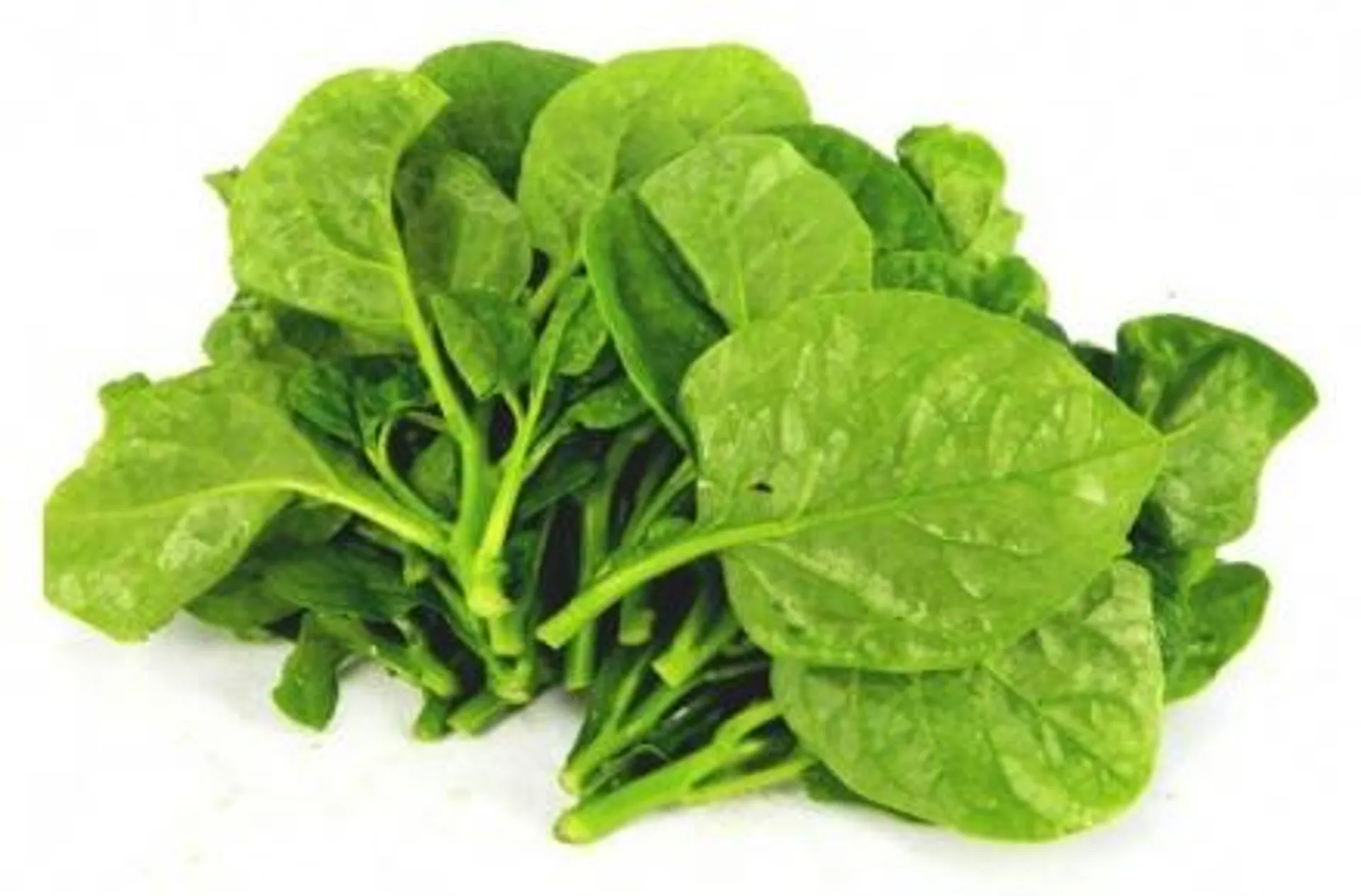 Malabar spinach (approx 550g) - 1bag
