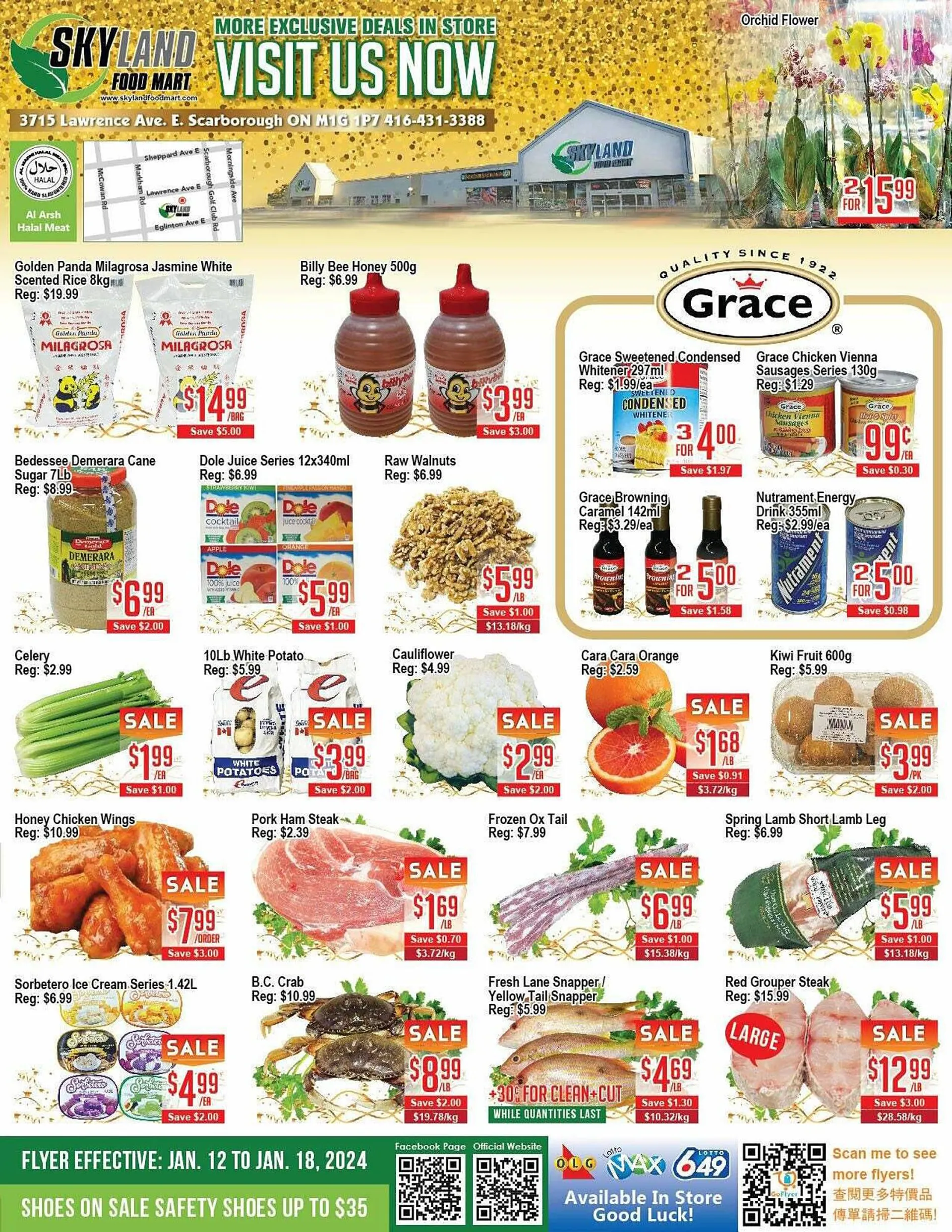 Skyland Foodmart flyer from January 10 to February 19 2024 - flyer page 