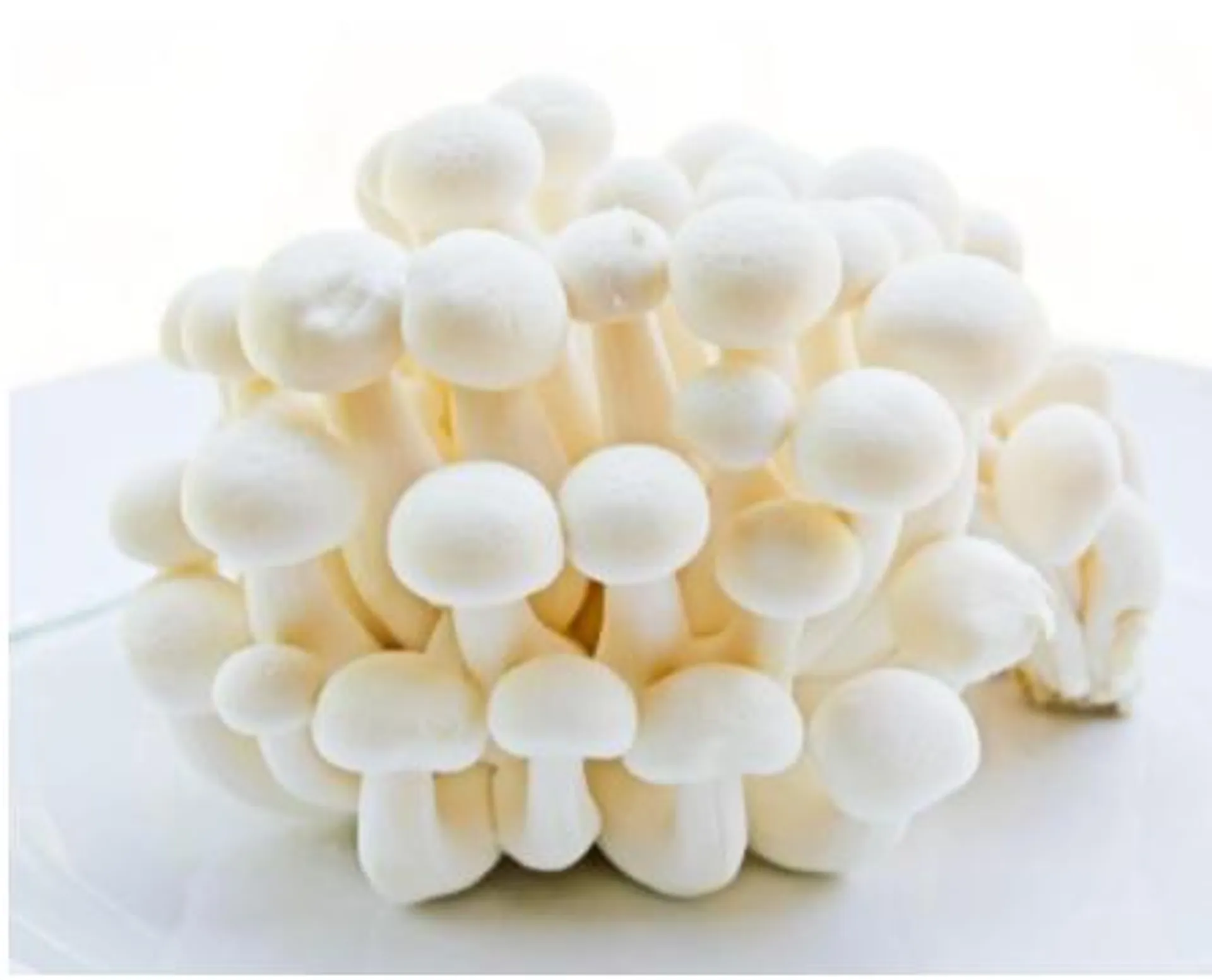 Shimeji Mushroom (white) - 150G