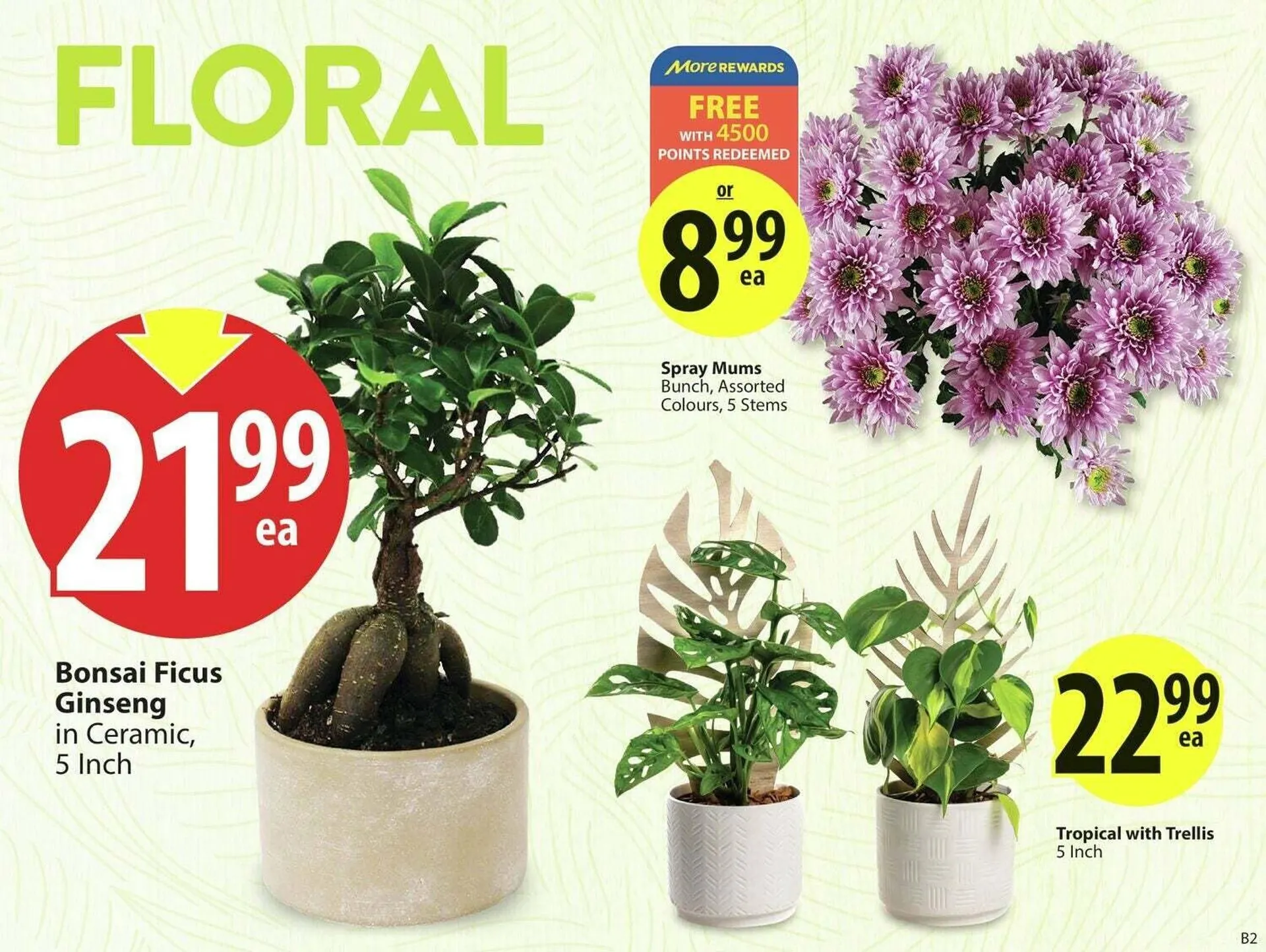 Save on Foods flyer from May 15 to May 22 2025 - flyer page 6