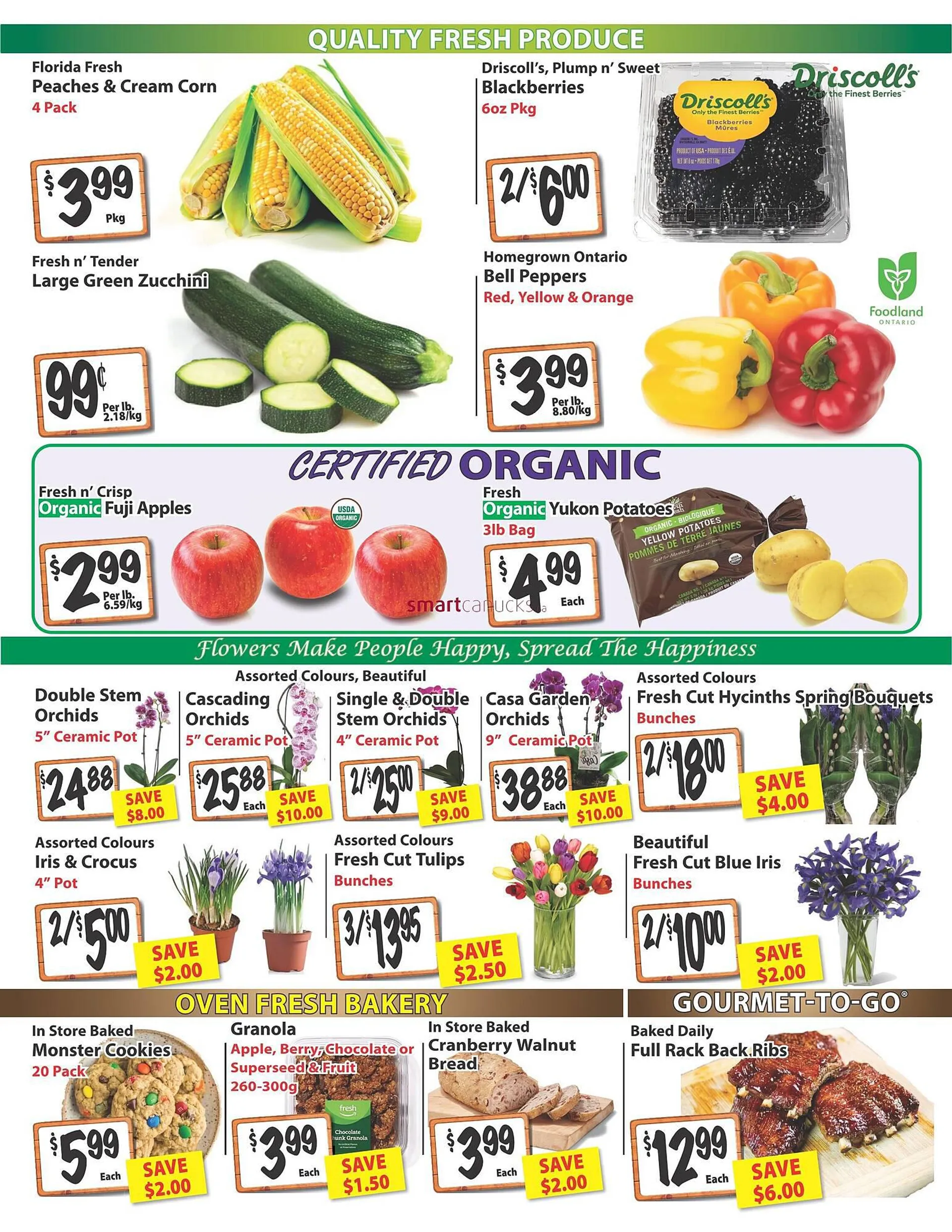 The Garden Basket flyer from April 11 to April 17 2024 - flyer page 2