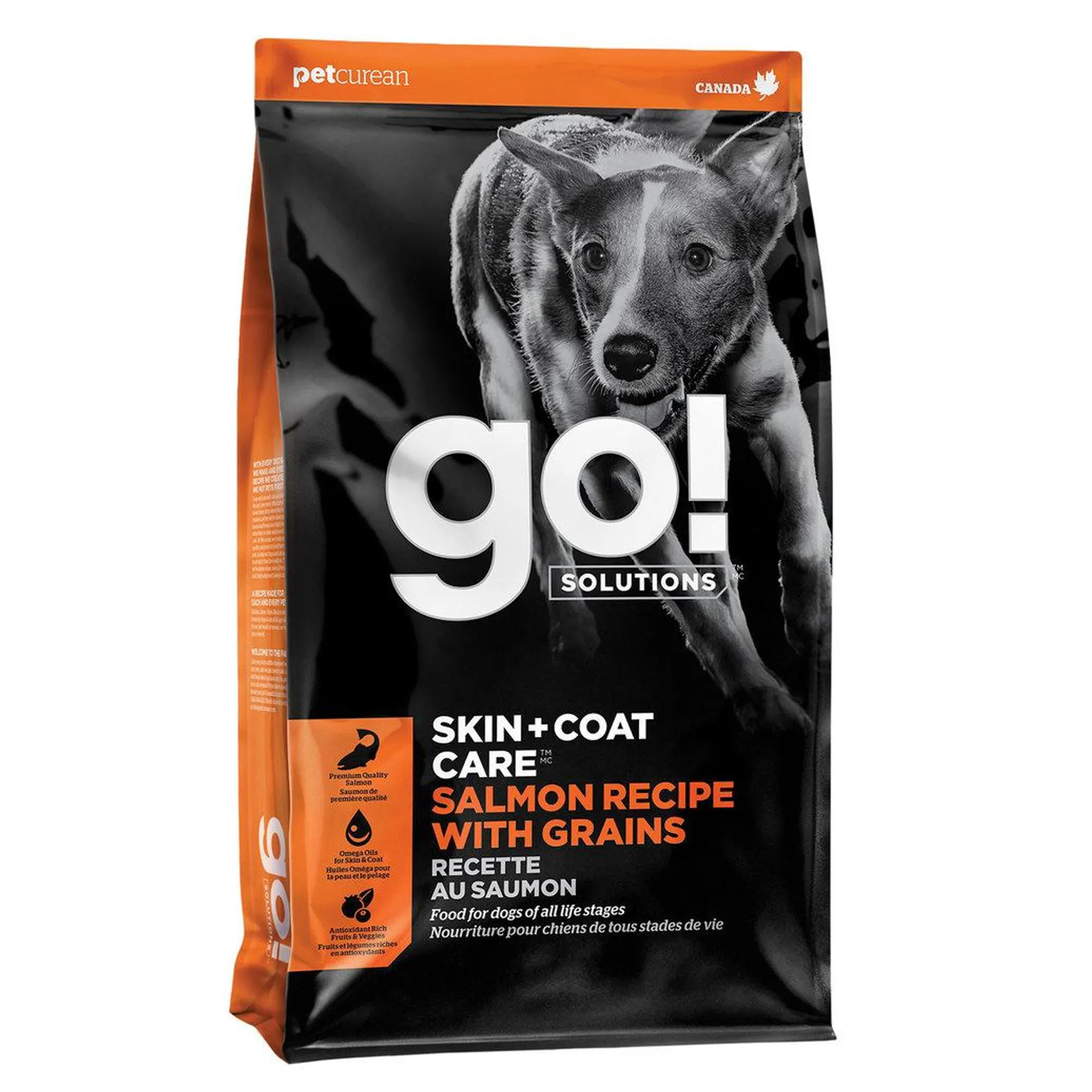 GO! SOLUTIONS, SKIN + COAT CARE Salmon Recipe for dogs