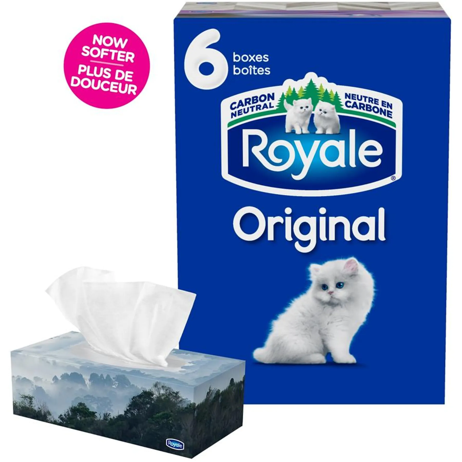 Original 2 Ply Facial Tissue, 6 Tissue Boxes, 100 Tissues per box