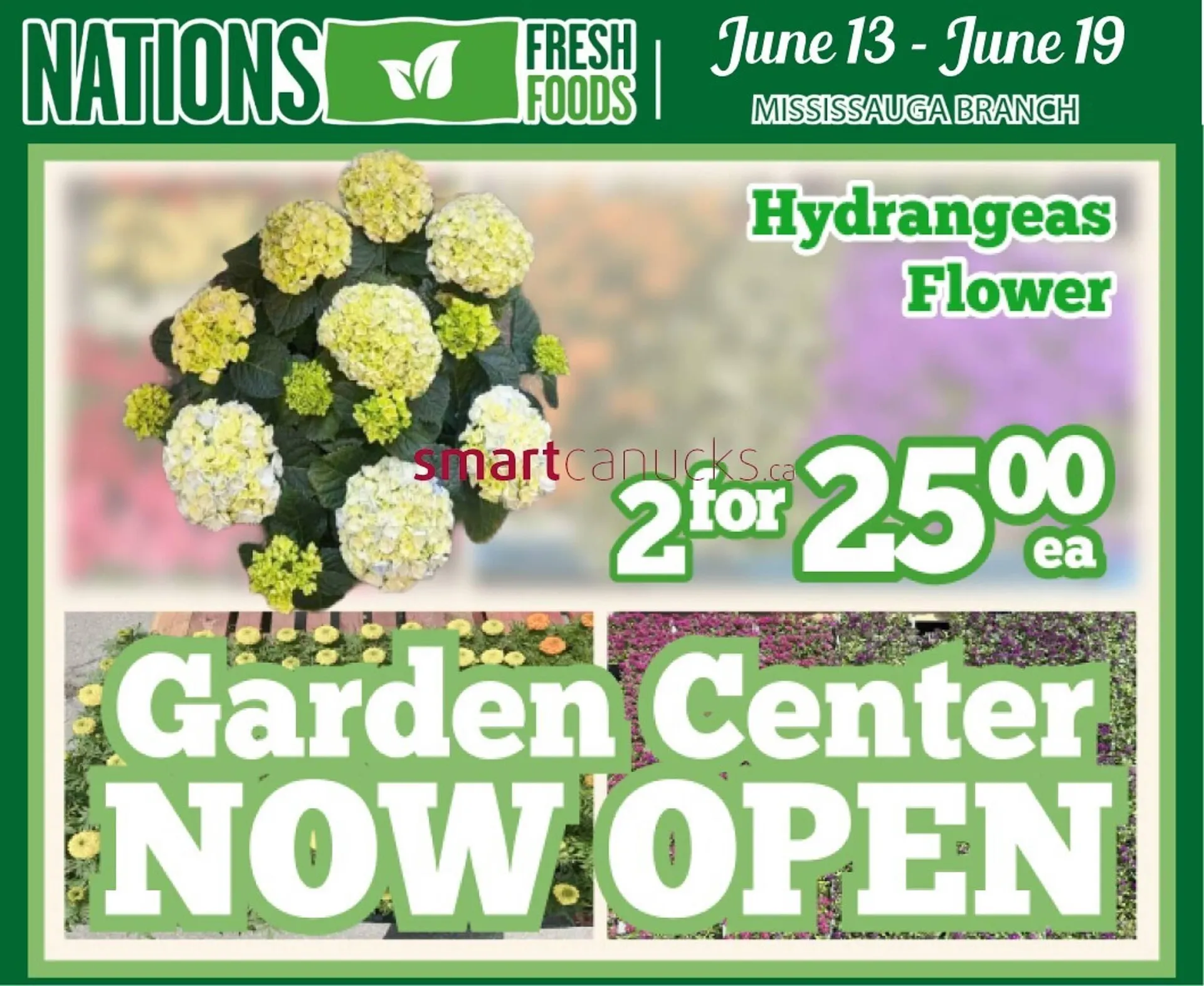 Nations Fresh Foods flyer from June 13 to June 19 2025 - flyer page 1