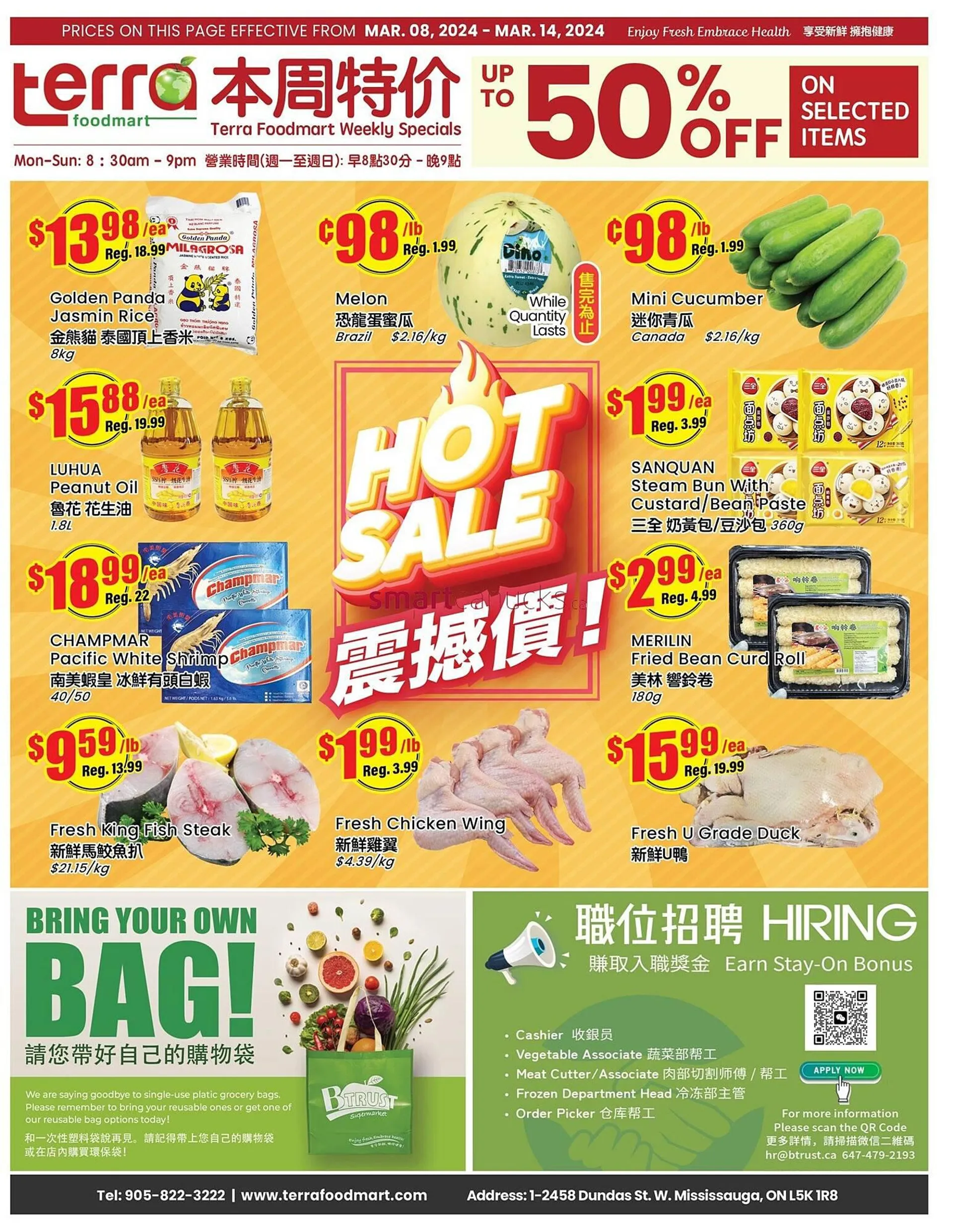 Terra Foodmart flyer from March 8 to March 14 2024 - flyer page 1