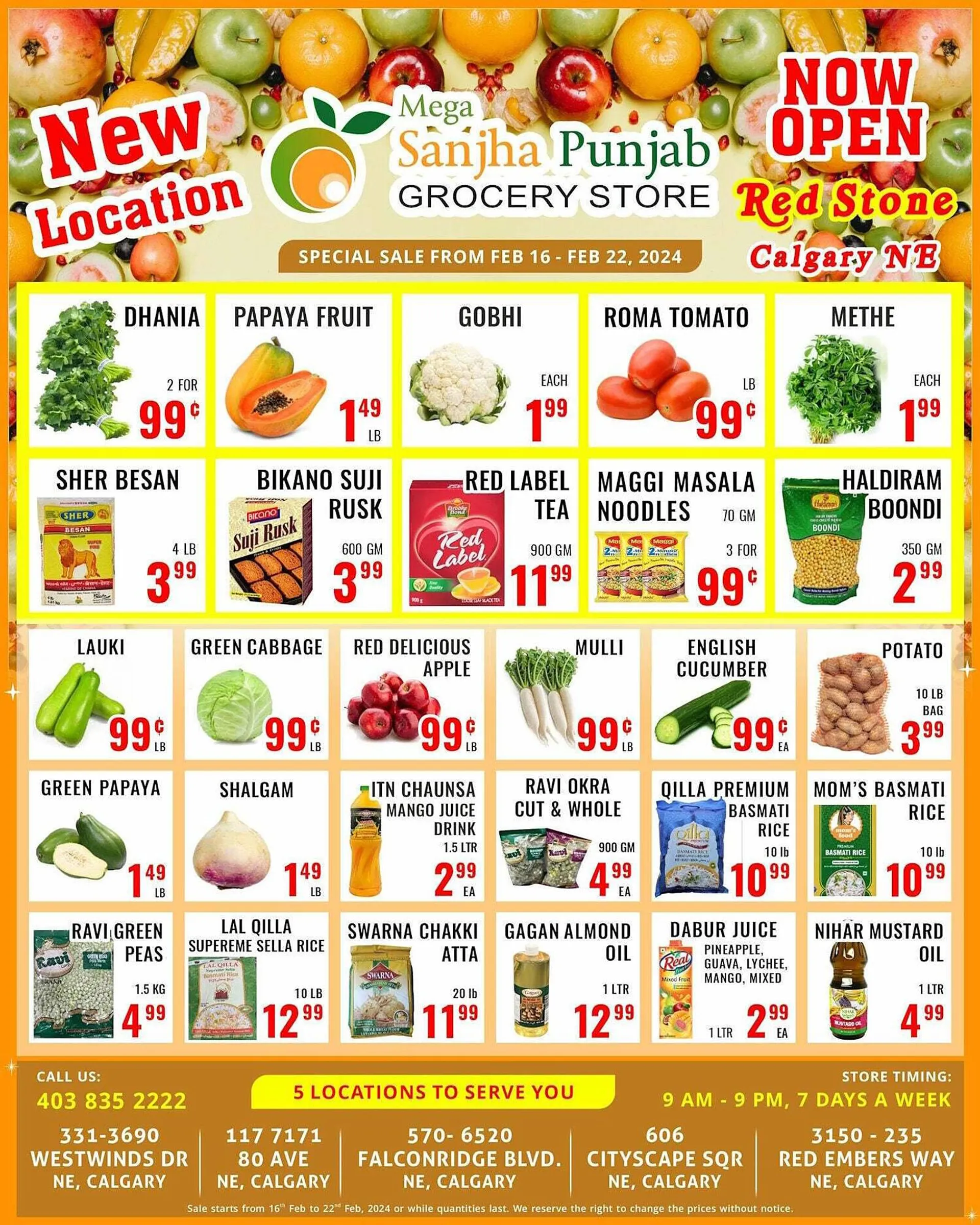 Mega Sanjha Punjab Grocery Store flyer from February 16 to February 23 2024 - flyer page 