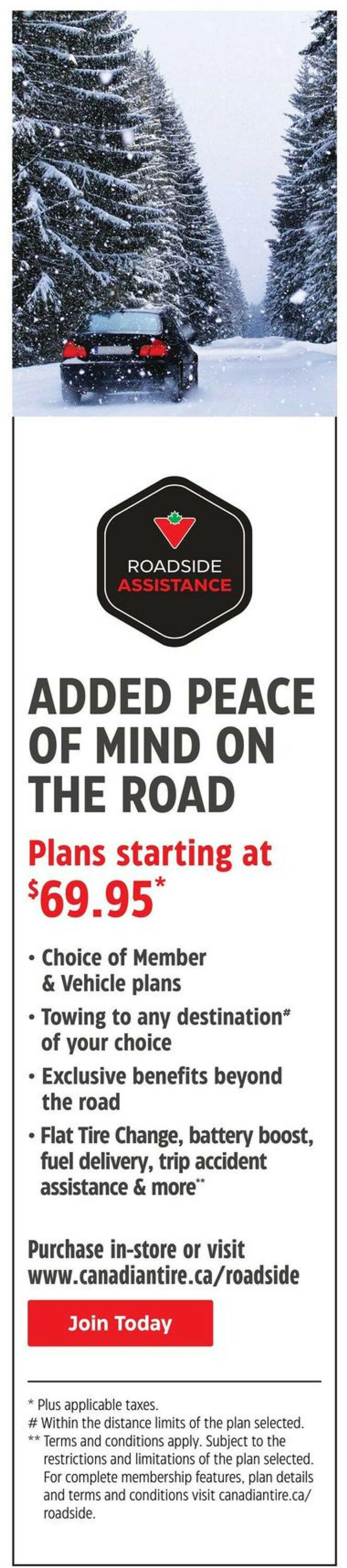 Canadian Tire Current flyer - 36