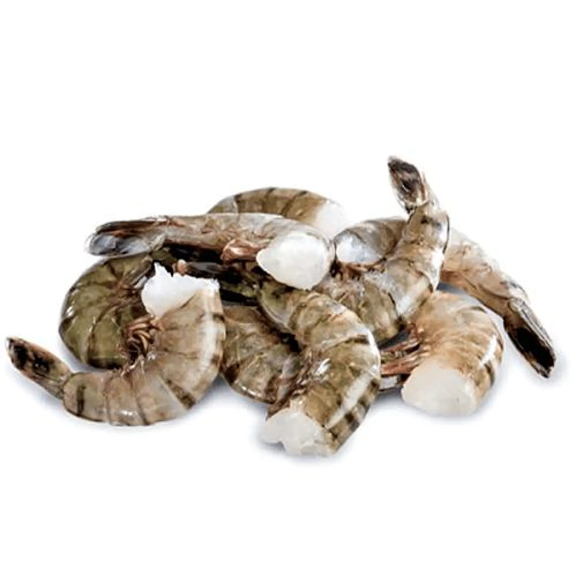 Black Tie Black Tiger Shrimp 340g