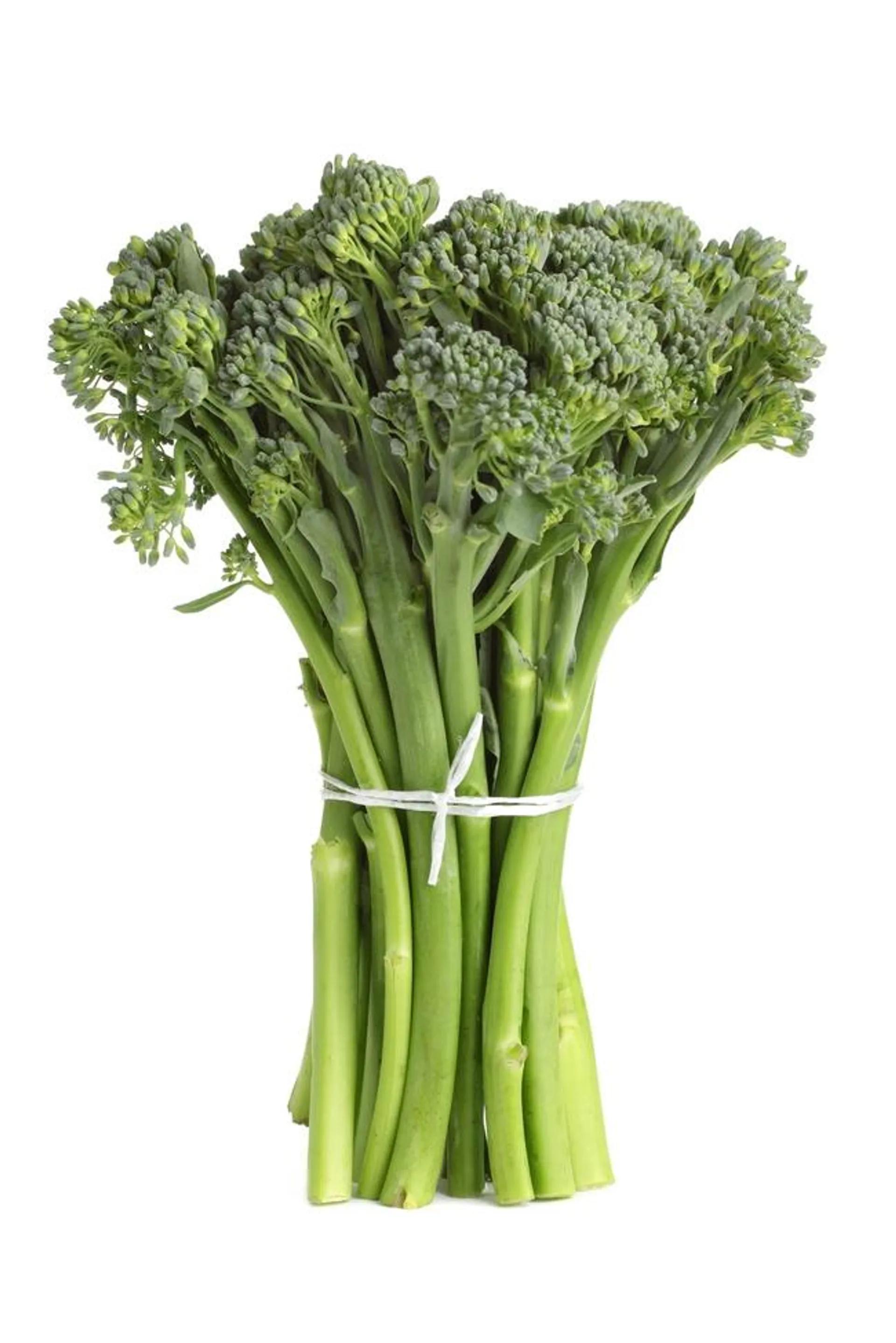 Broccolini - Baby Broccoli