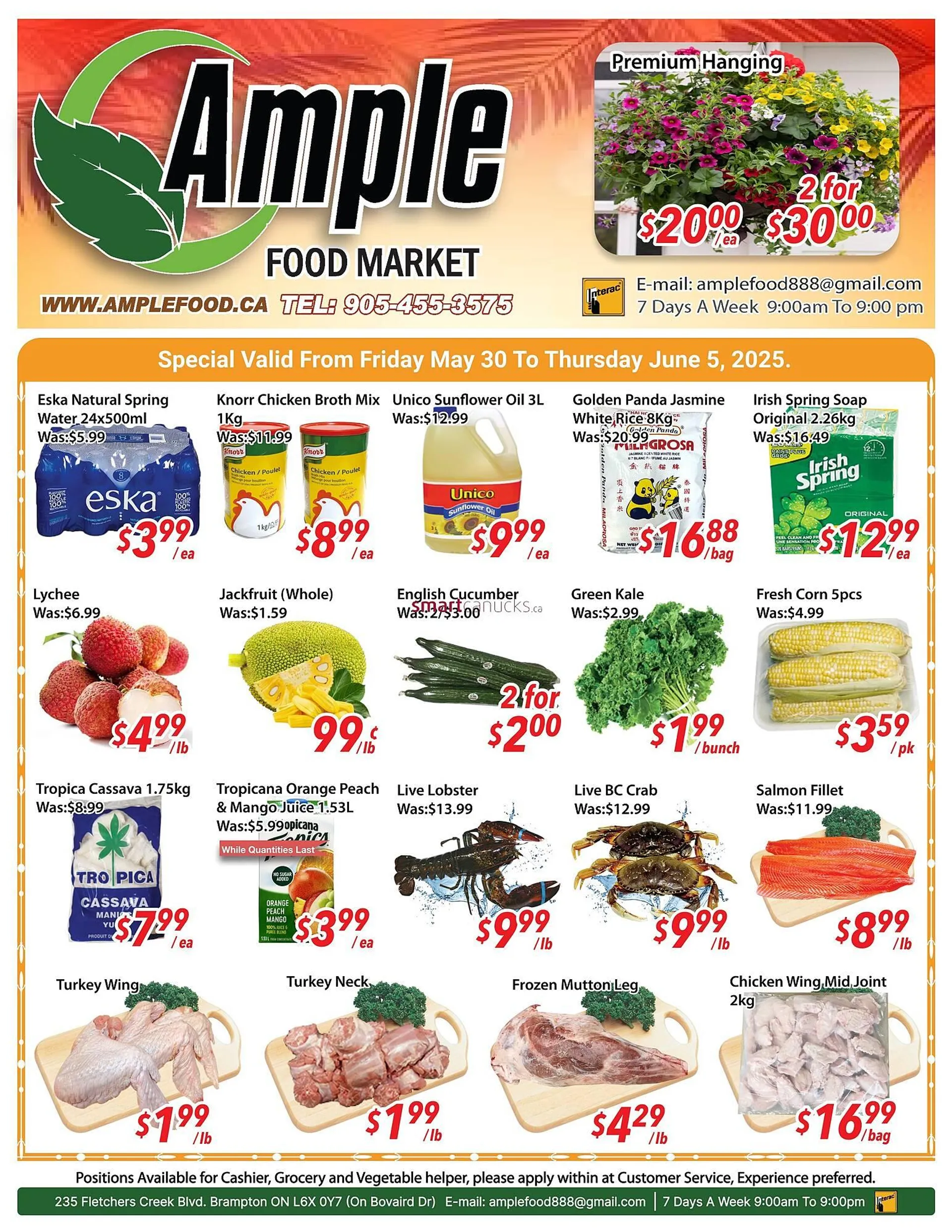 Ample Food Market flyer from May 30 to June 5 2025 - flyer page 1