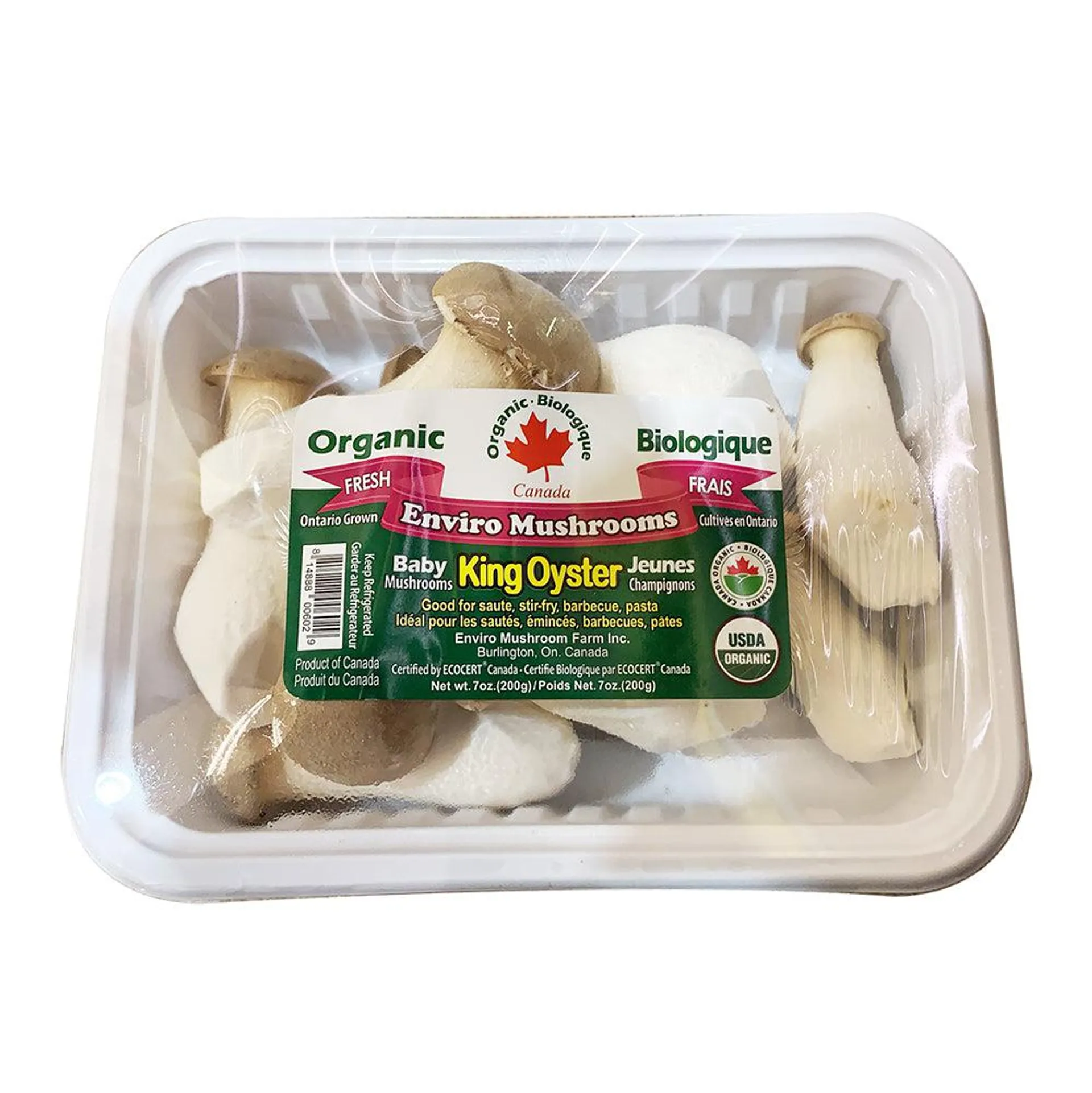 Enviro Baby King Oyster 170g/box