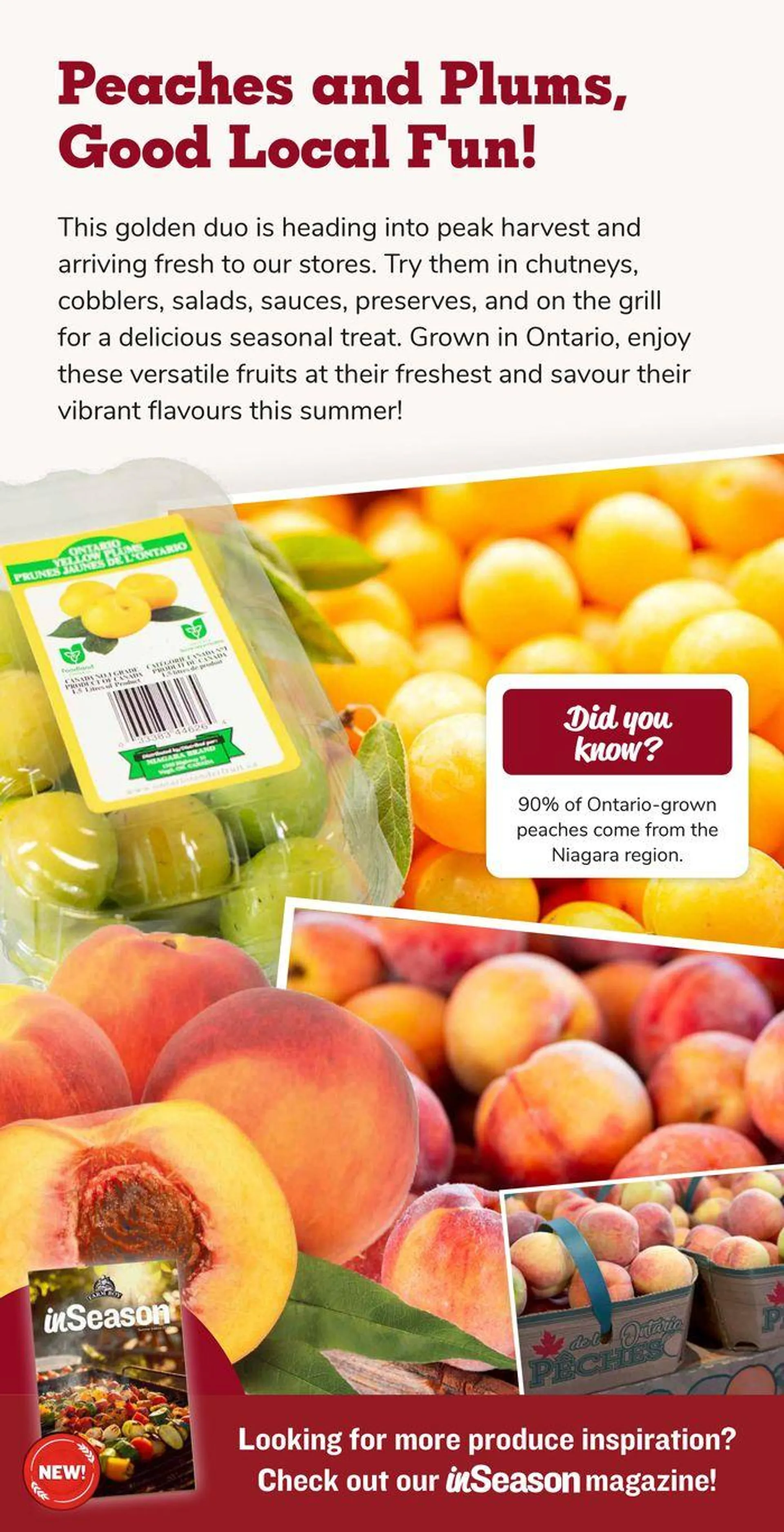 Farm Boy weekly flyer - 6