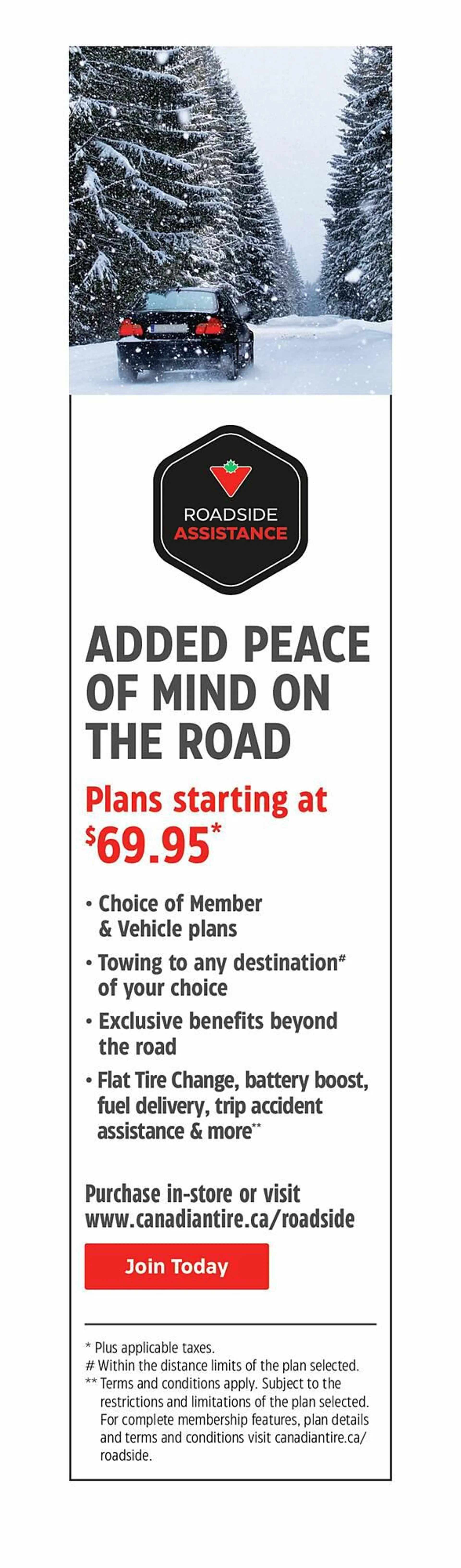 Canadian Tire flyer - 26