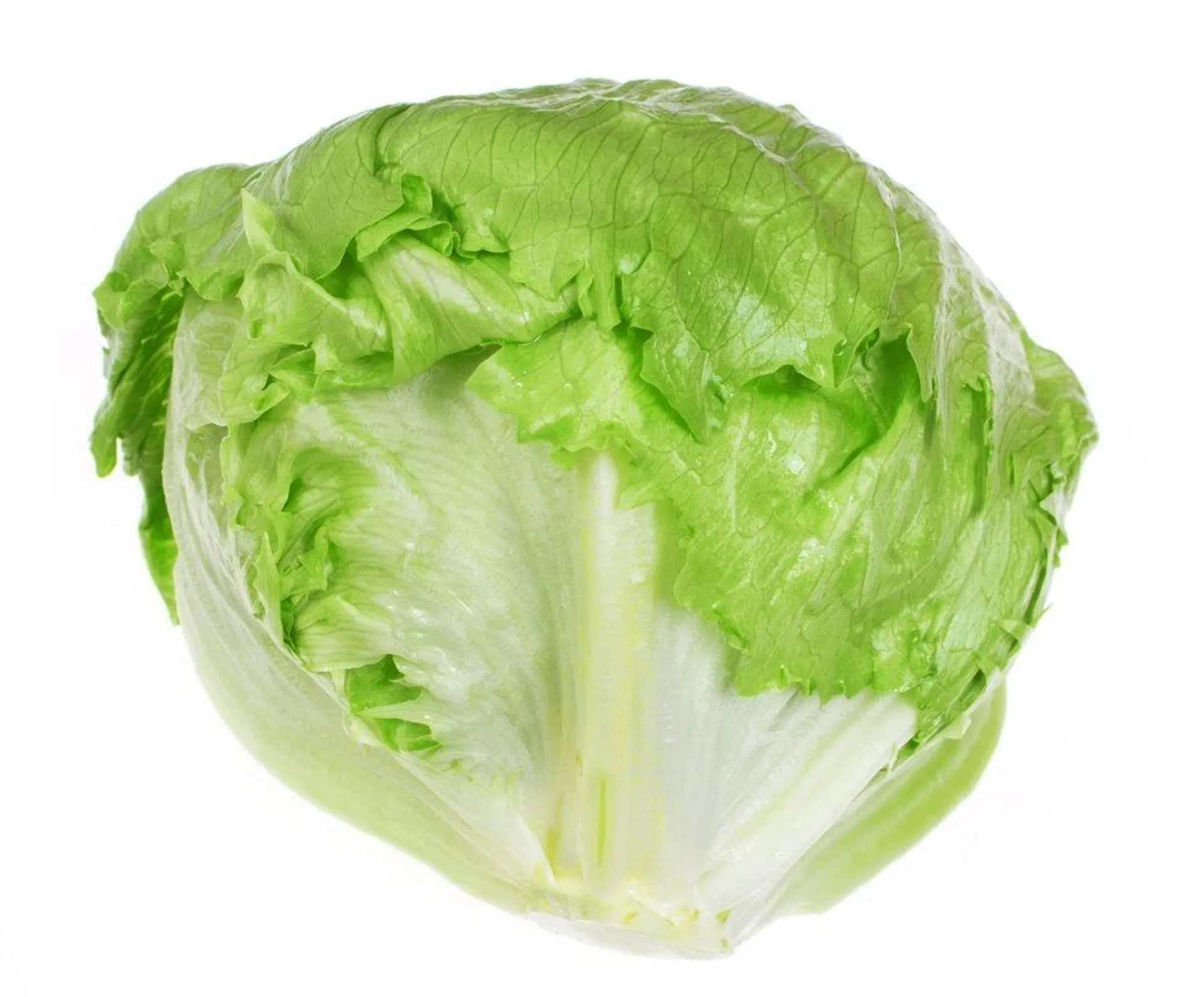 Head Lettuce