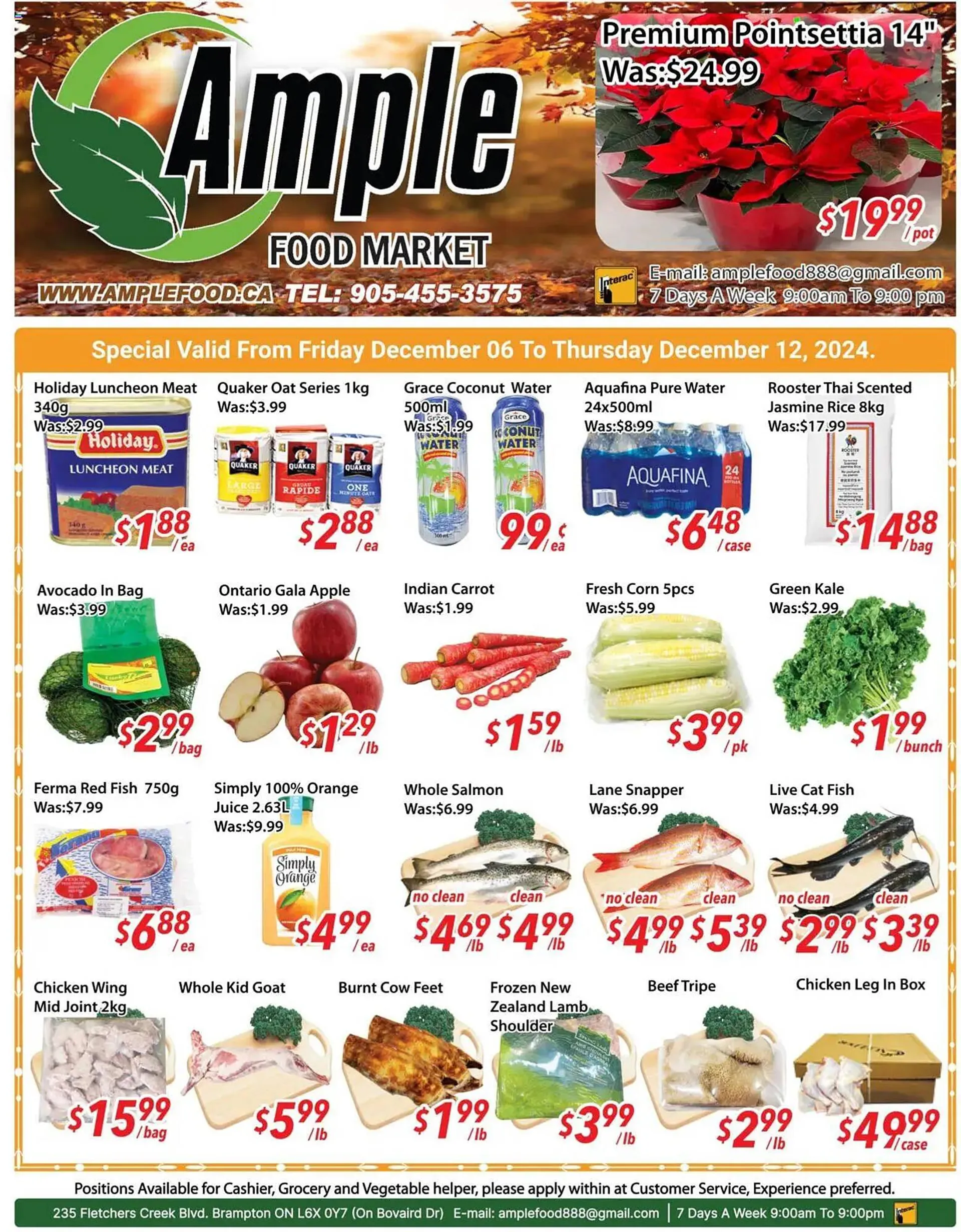 Ample Food Market flyer - 1