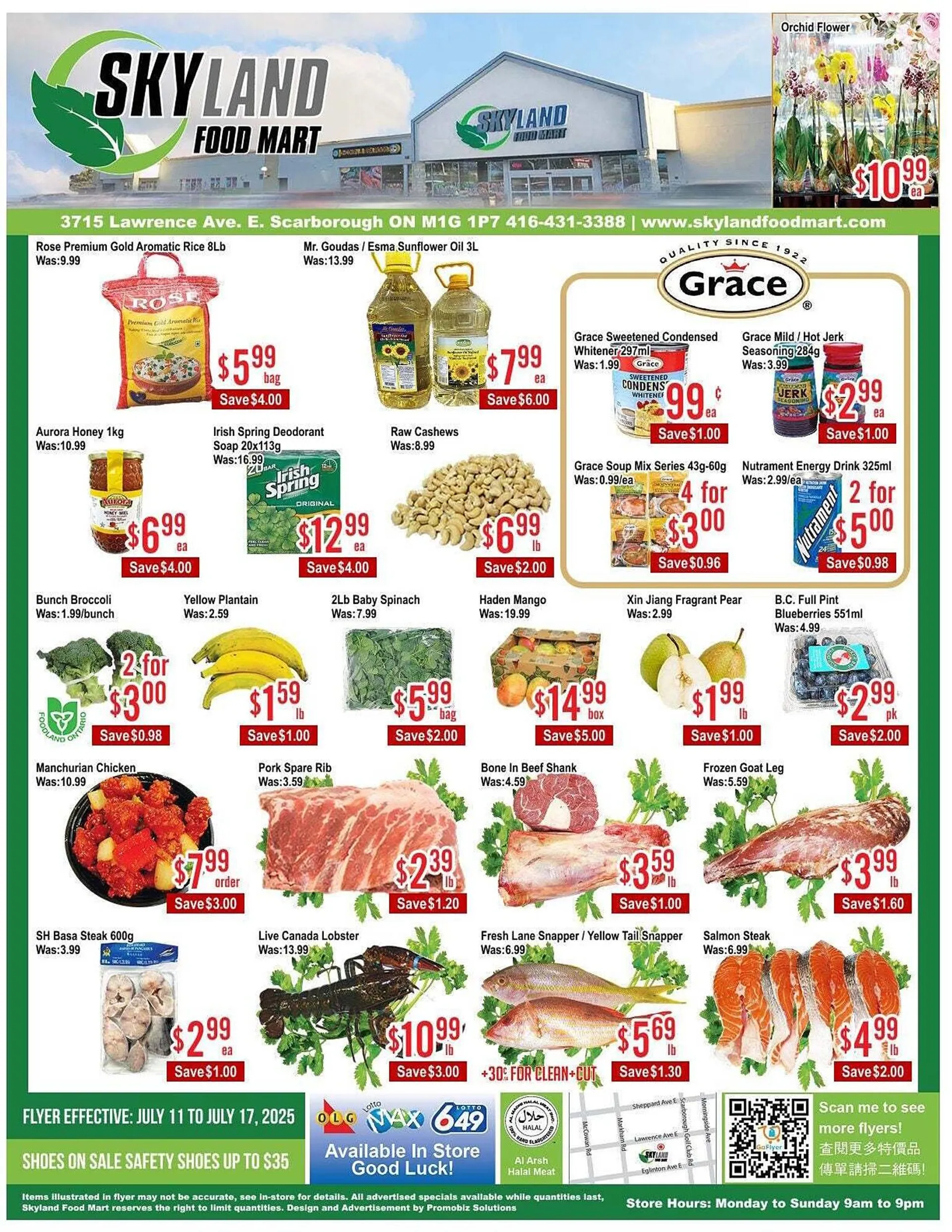Skyland Foodmart flyer from July 11 to July 18 2025 - flyer page 1