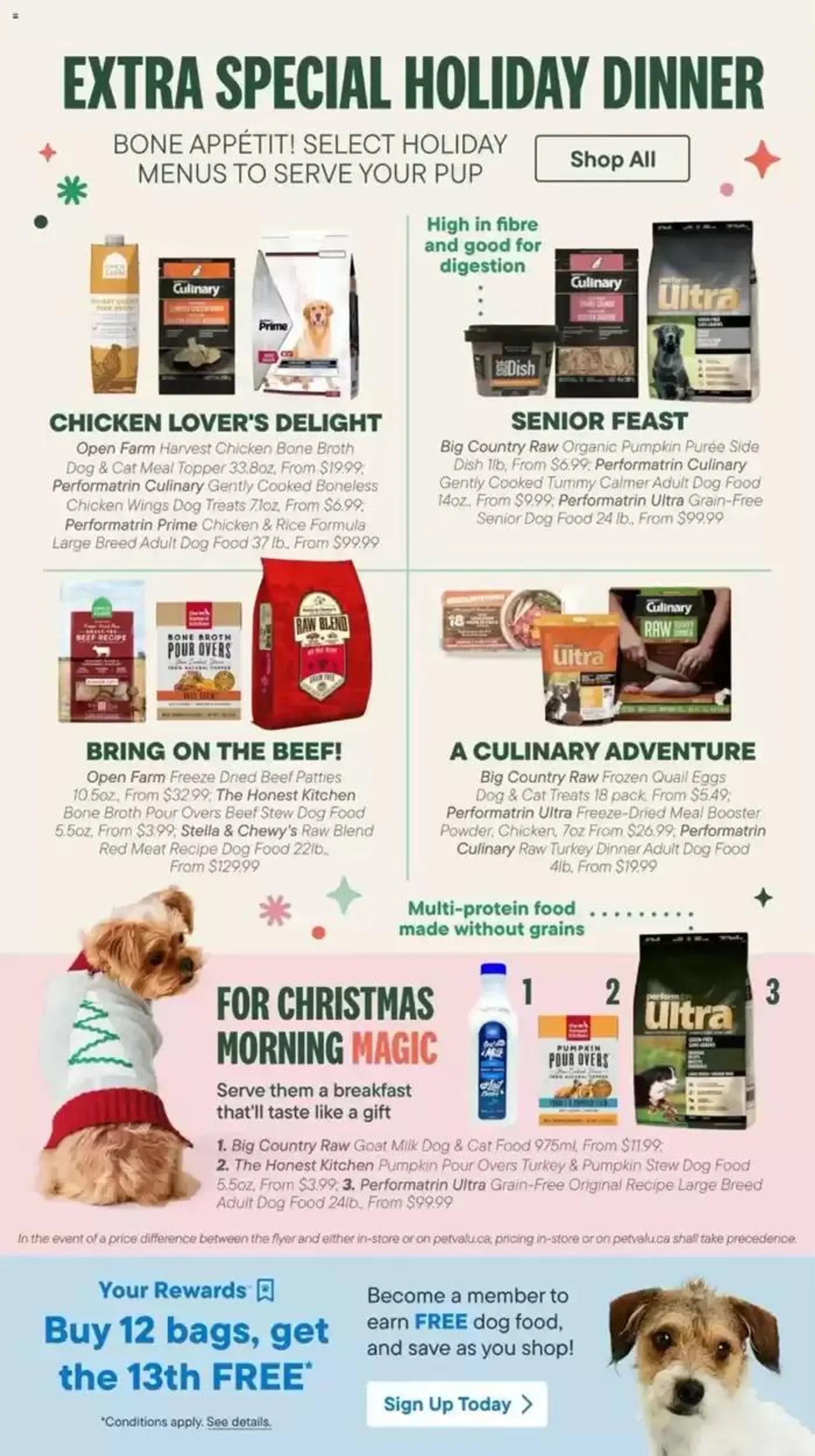 Magic Holiday Moments from December 12 to December 31 2024 - flyer page 28