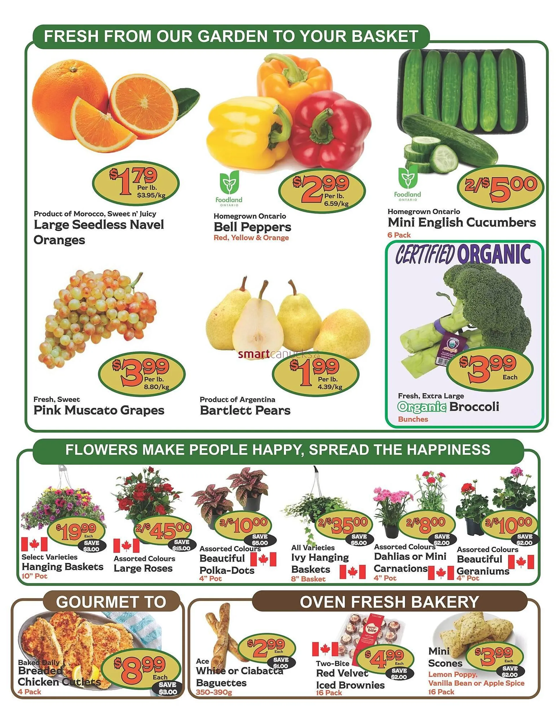 The Garden Basket flyer from May 15 to May 21 2025 - flyer page 2
