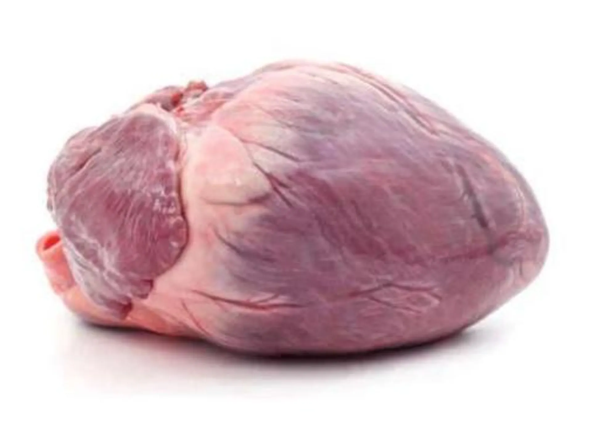 VEAL HEART