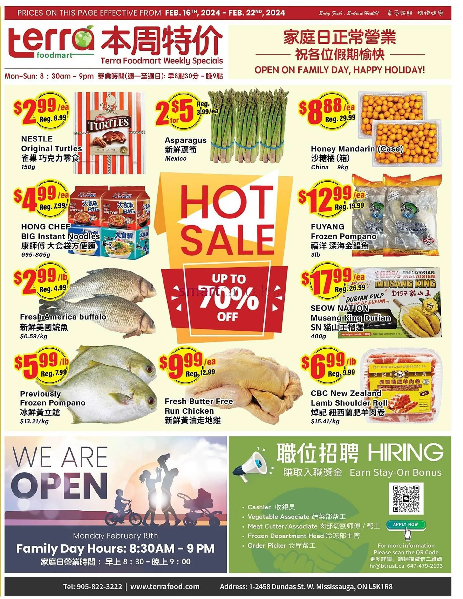 Terra Foodmart flyer from February 16 to February 22 2024 - flyer page 